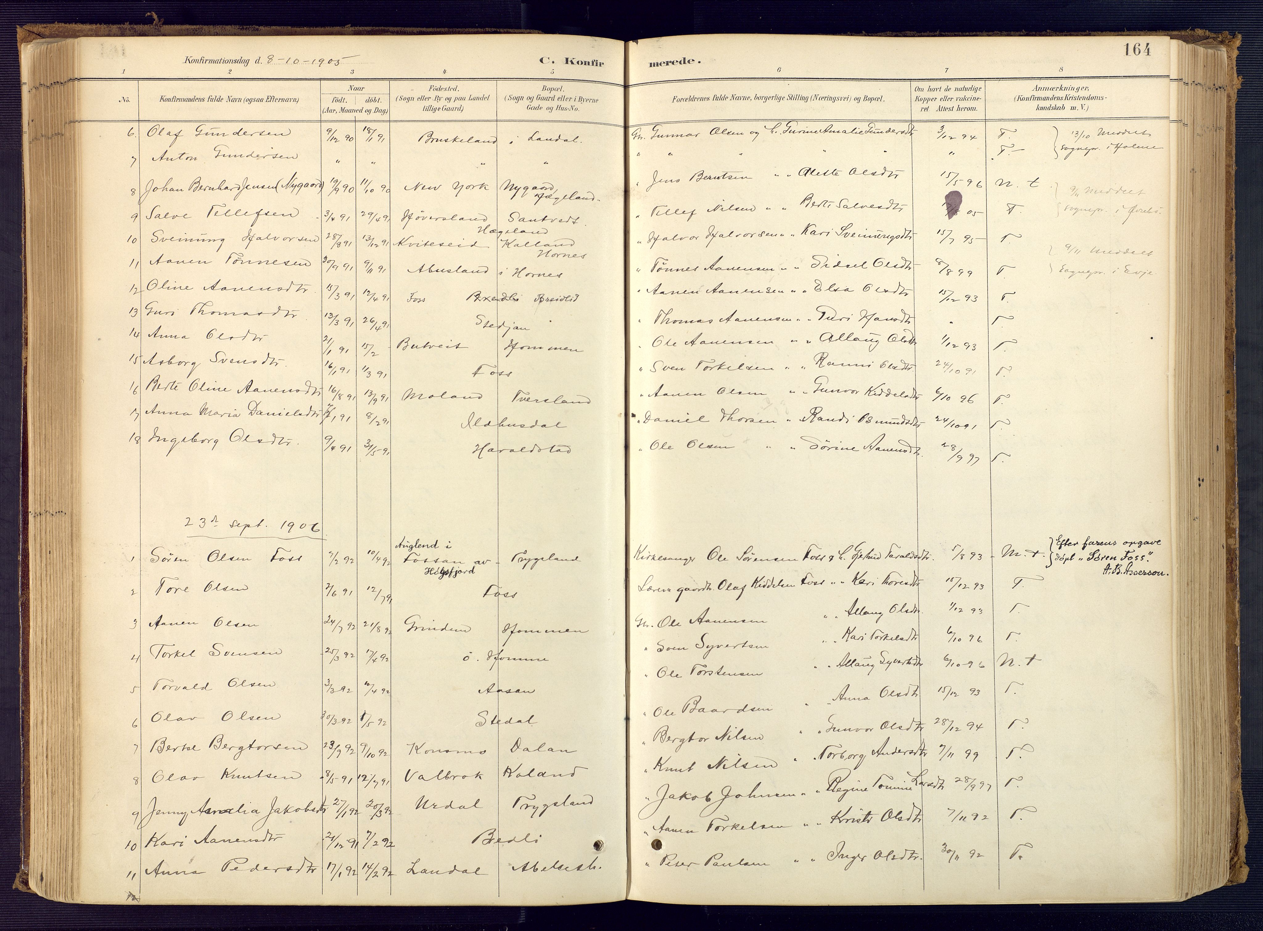 Bjelland sokneprestkontor, SAK/1111-0005/F/Fa/Faa/L0004: Parish register (official) no. A 4, 1887-1923, p. 164