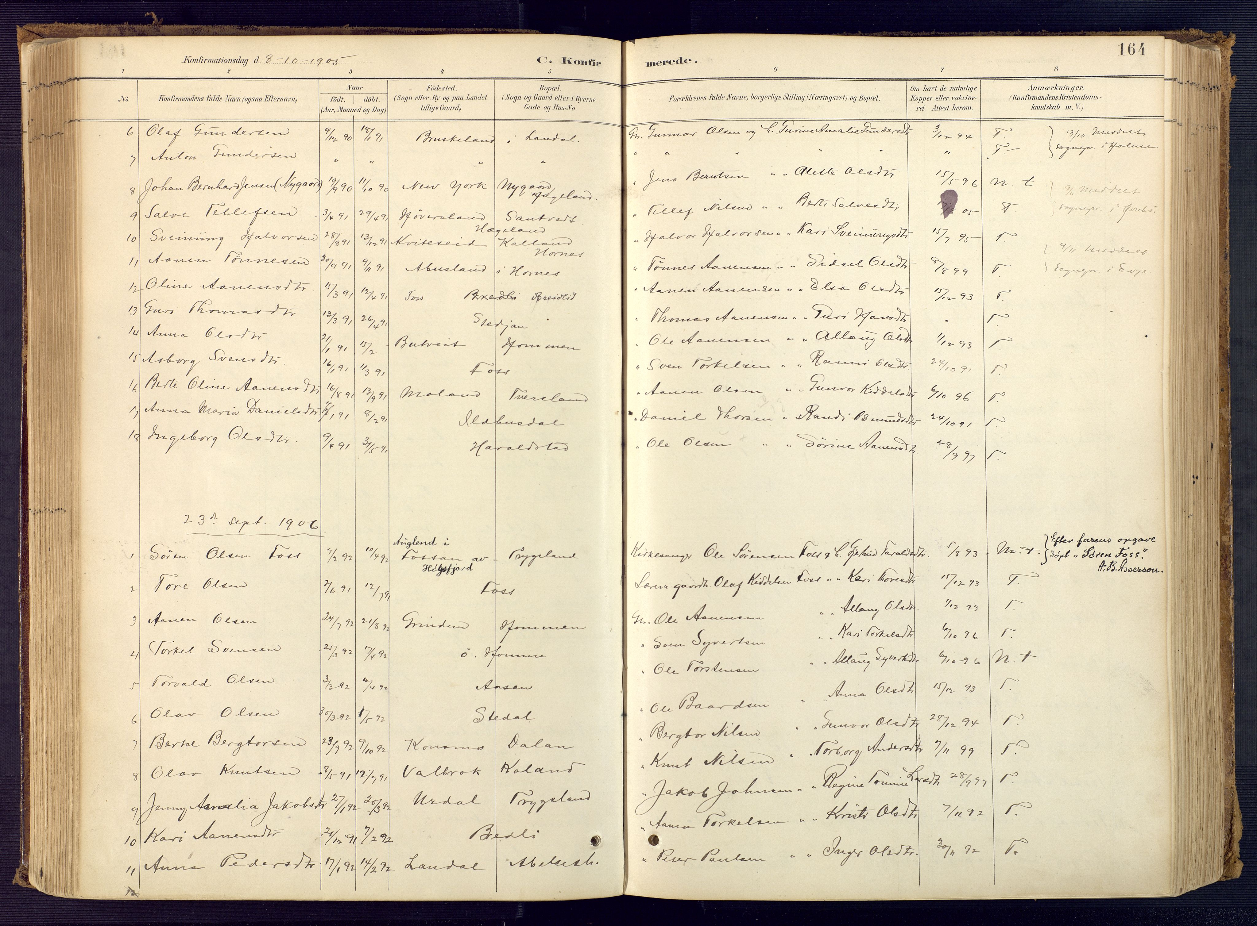 Bjelland sokneprestkontor, AV/SAK-1111-0005/F/Fa/Faa/L0004: Parish register (official) no. A 4, 1887-1923, p. 164