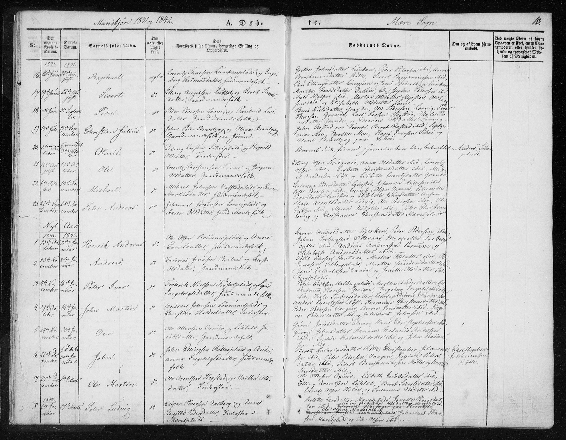Ministerialprotokoller, klokkerbøker og fødselsregistre - Nord-Trøndelag, SAT/A-1458/735/L0339: Parish register (official) no. 735A06 /1, 1836-1848, p. 13