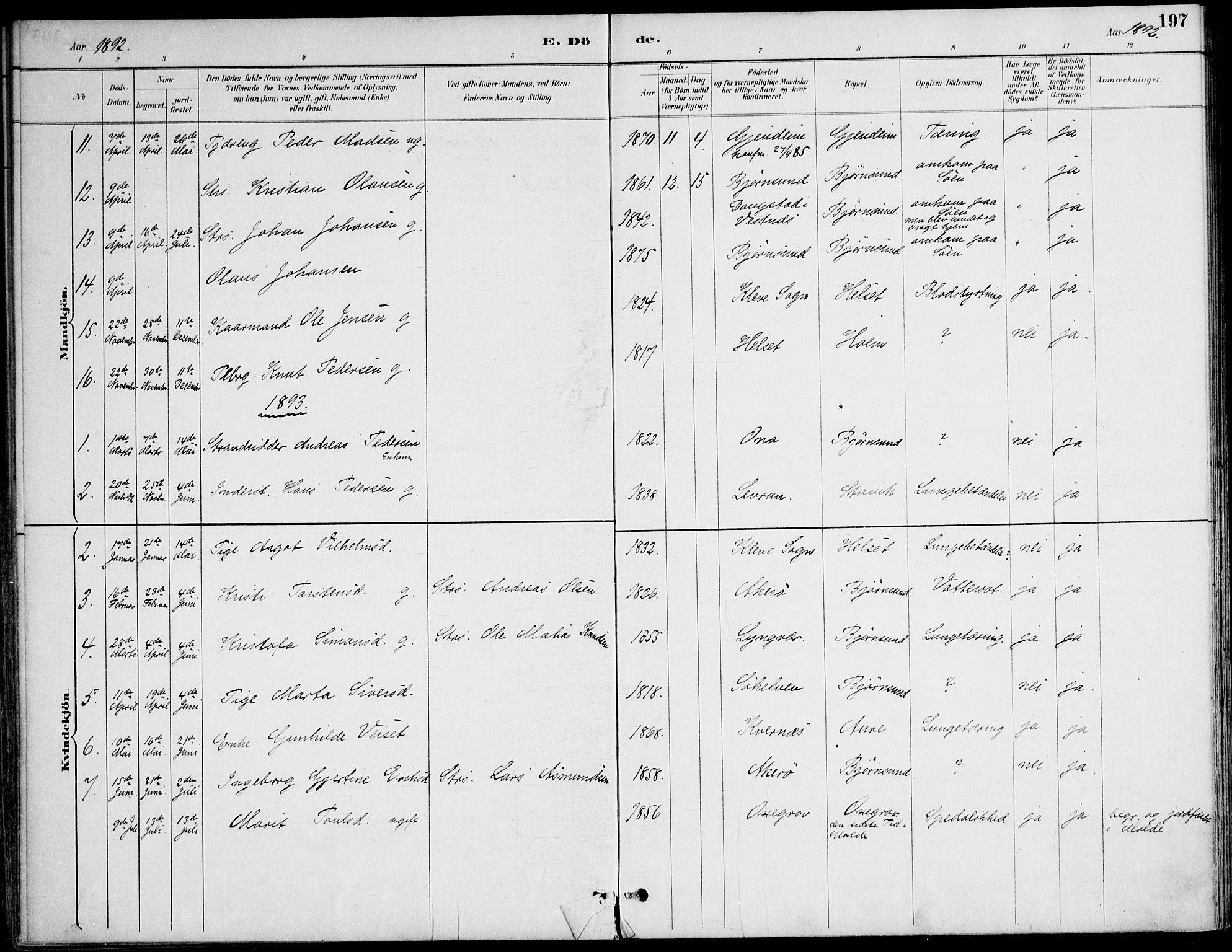 Ministerialprotokoller, klokkerbøker og fødselsregistre - Møre og Romsdal, AV/SAT-A-1454/565/L0750: Parish register (official) no. 565A04, 1887-1905, p. 197