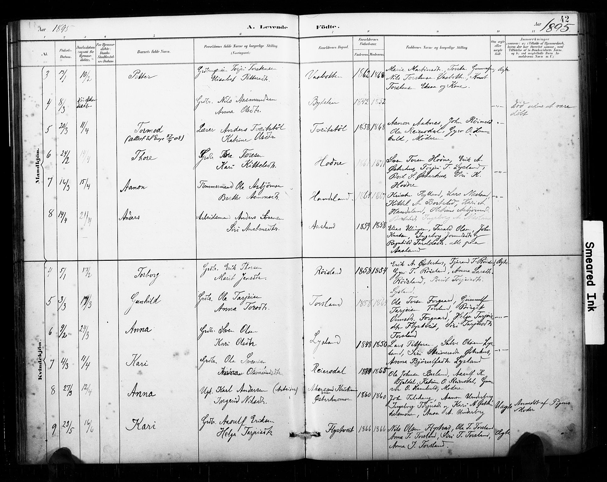 Åseral sokneprestkontor, AV/SAK-1111-0051/F/Fa/L0003: Parish register (official) no. A 3, 1884-1901, p. 42