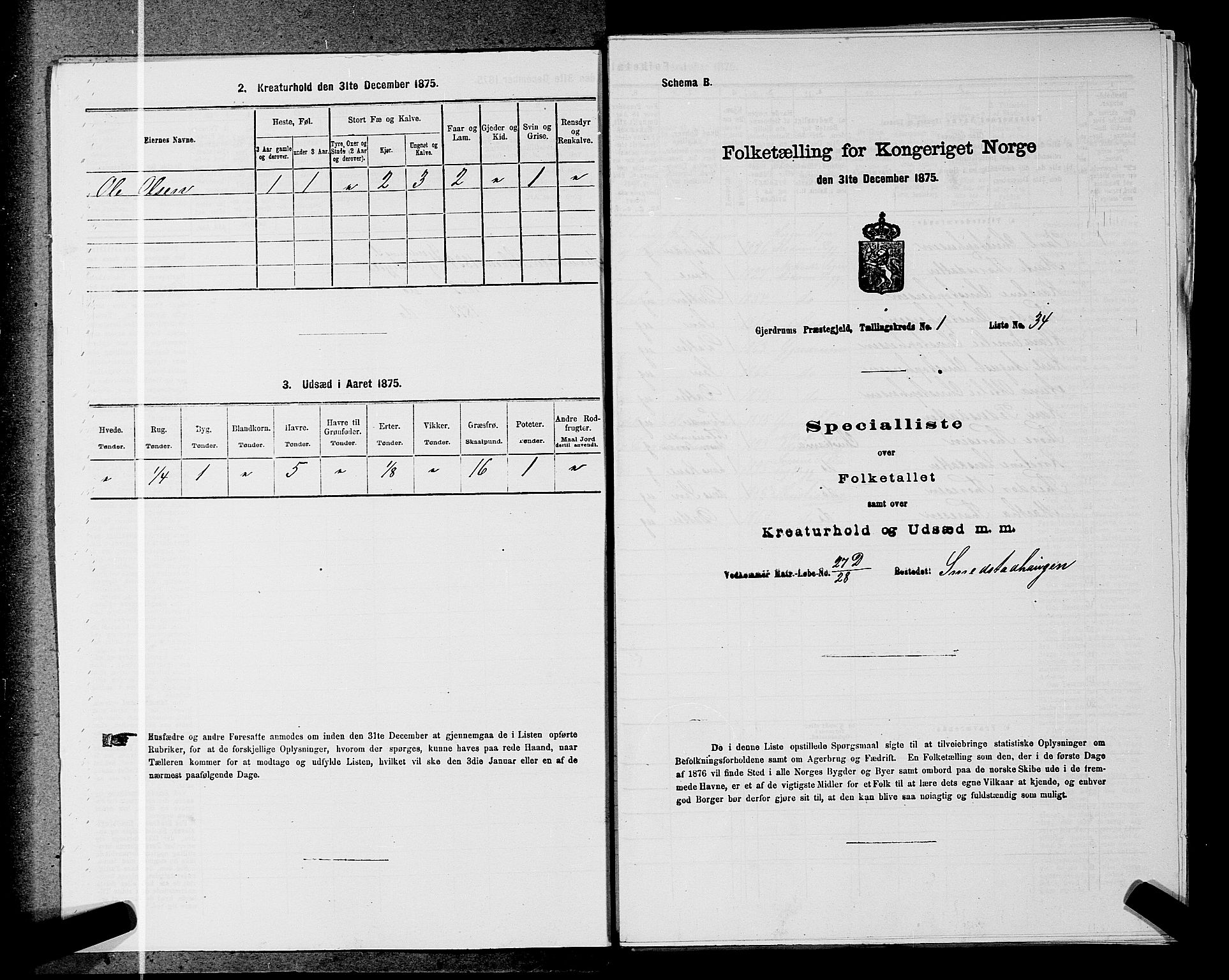 RA, 1875 census for 0234P Gjerdrum, 1875, p. 23