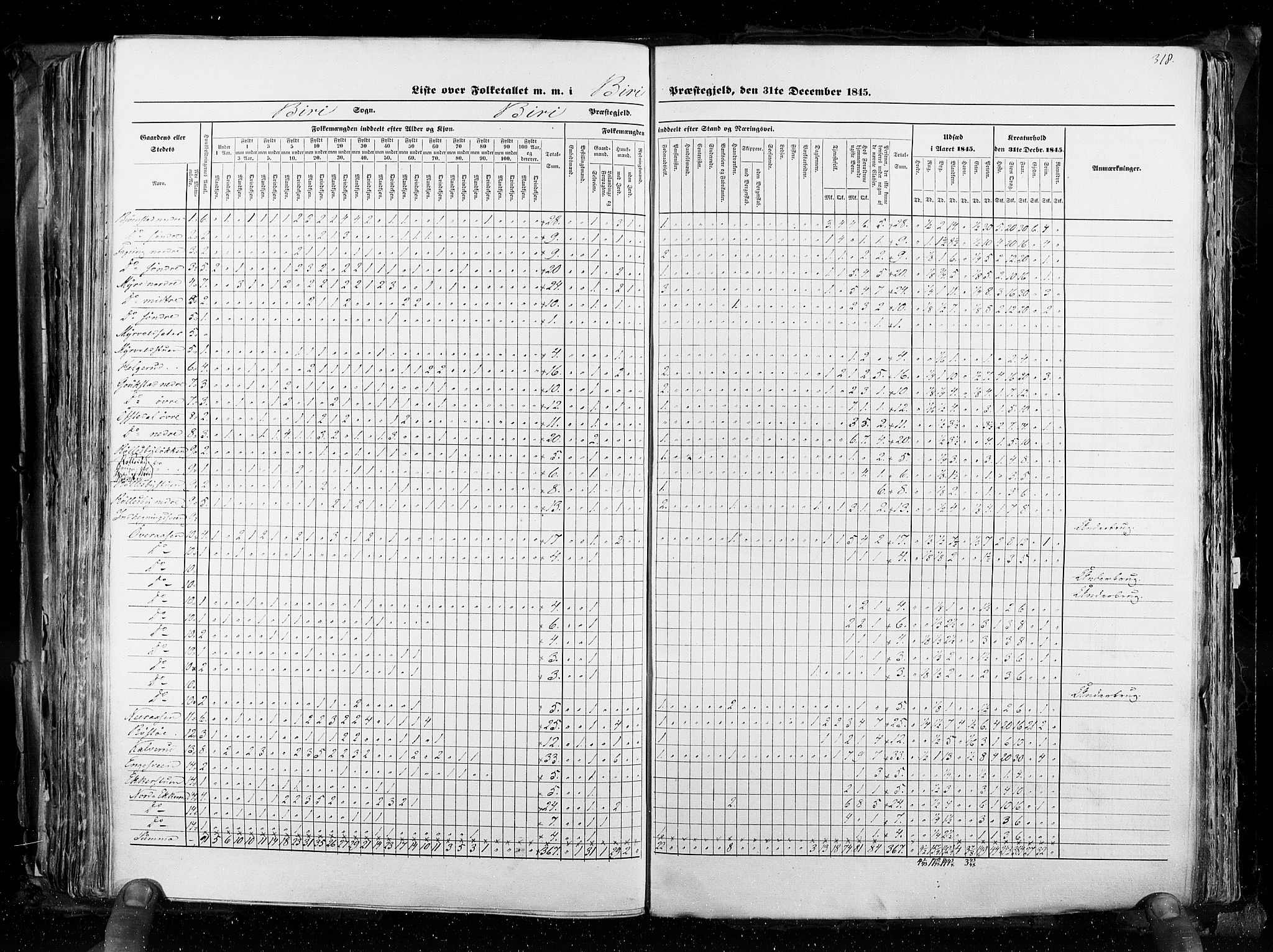 RA, Census 1845, vol. 3: Hedemarken amt og Kristians amt, 1845, p. 318