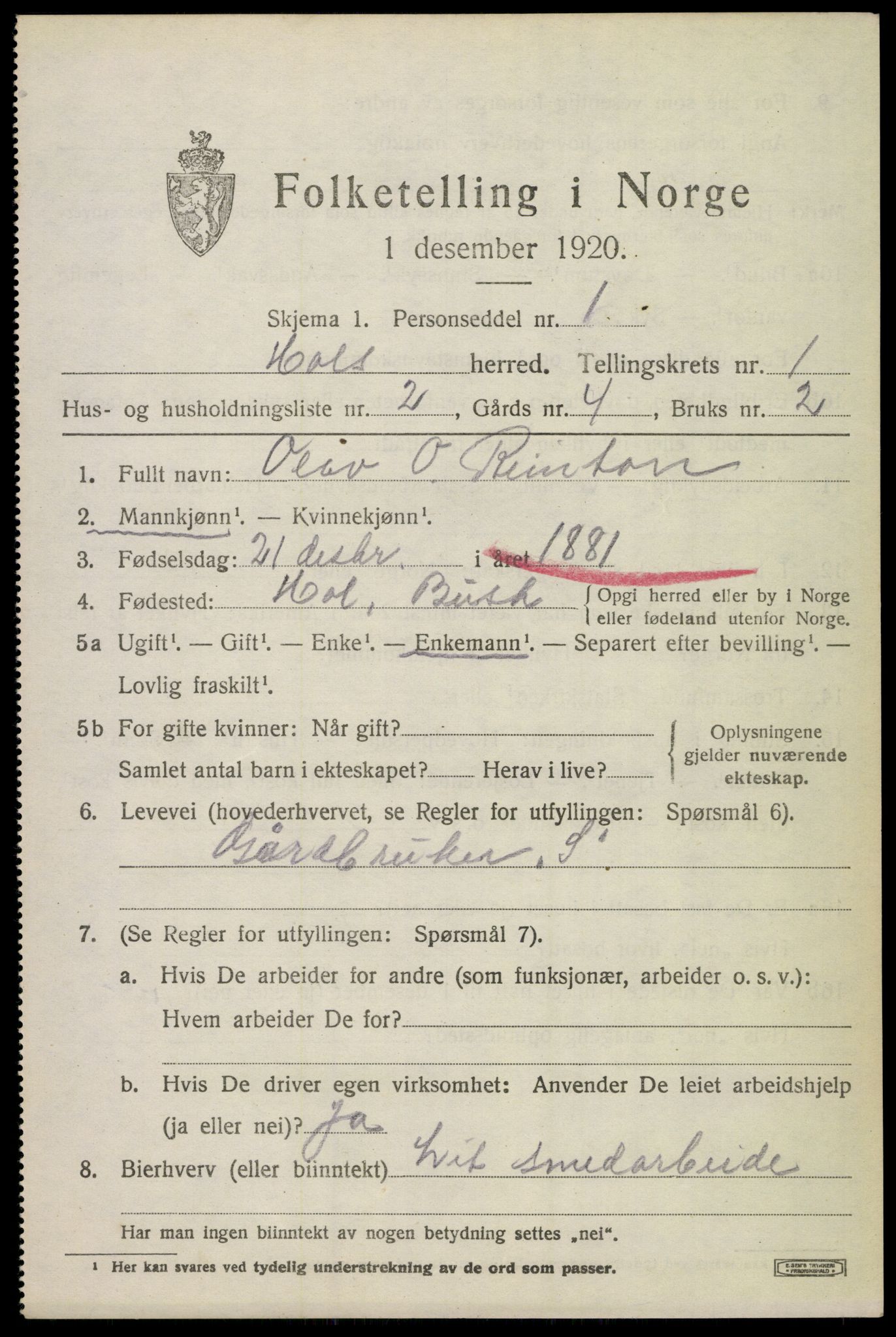 SAKO, 1920 census for Hol (Buskerud), 1920, p. 865