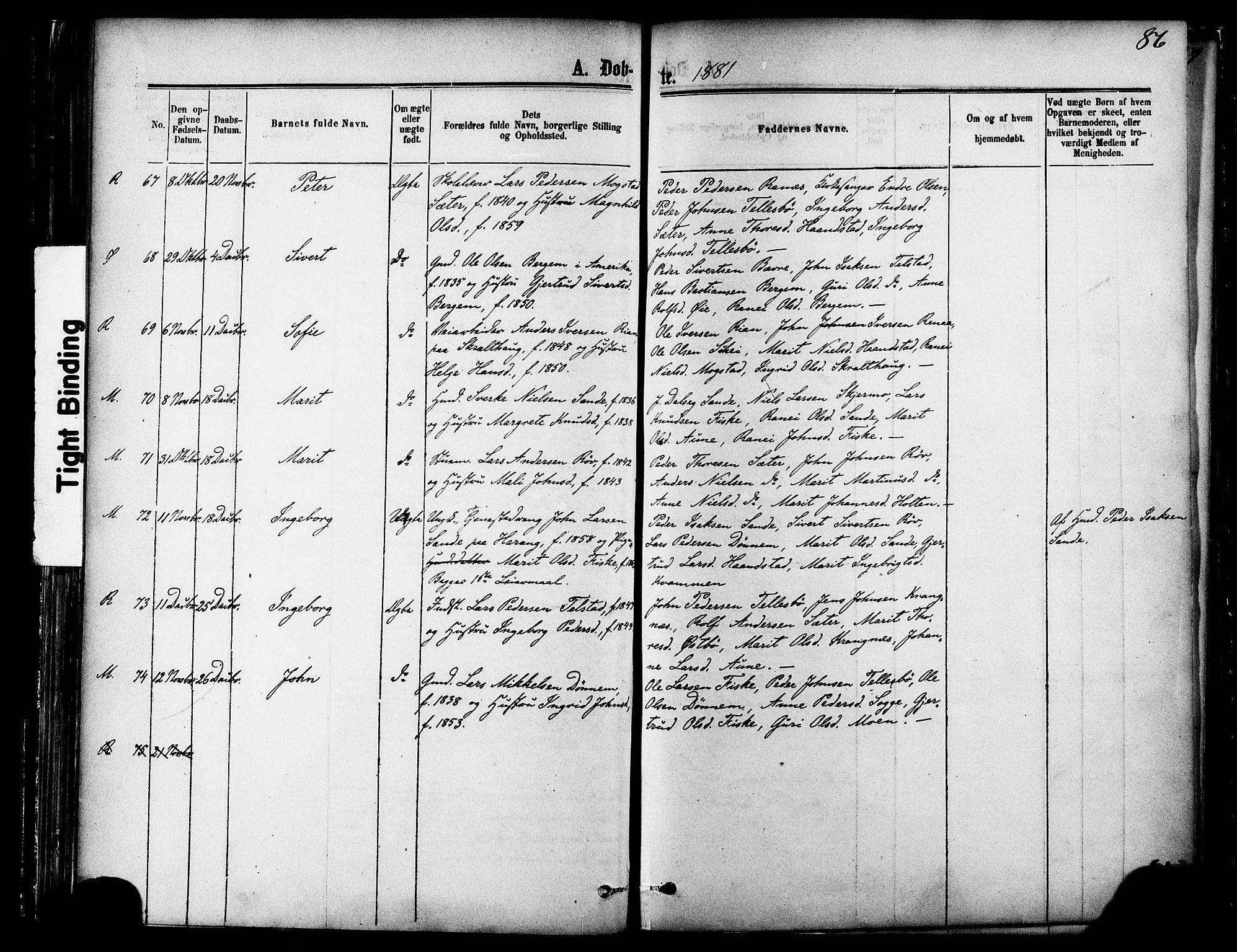 Ministerialprotokoller, klokkerbøker og fødselsregistre - Møre og Romsdal, AV/SAT-A-1454/595/L1046: Parish register (official) no. 595A08, 1874-1884, p. 86