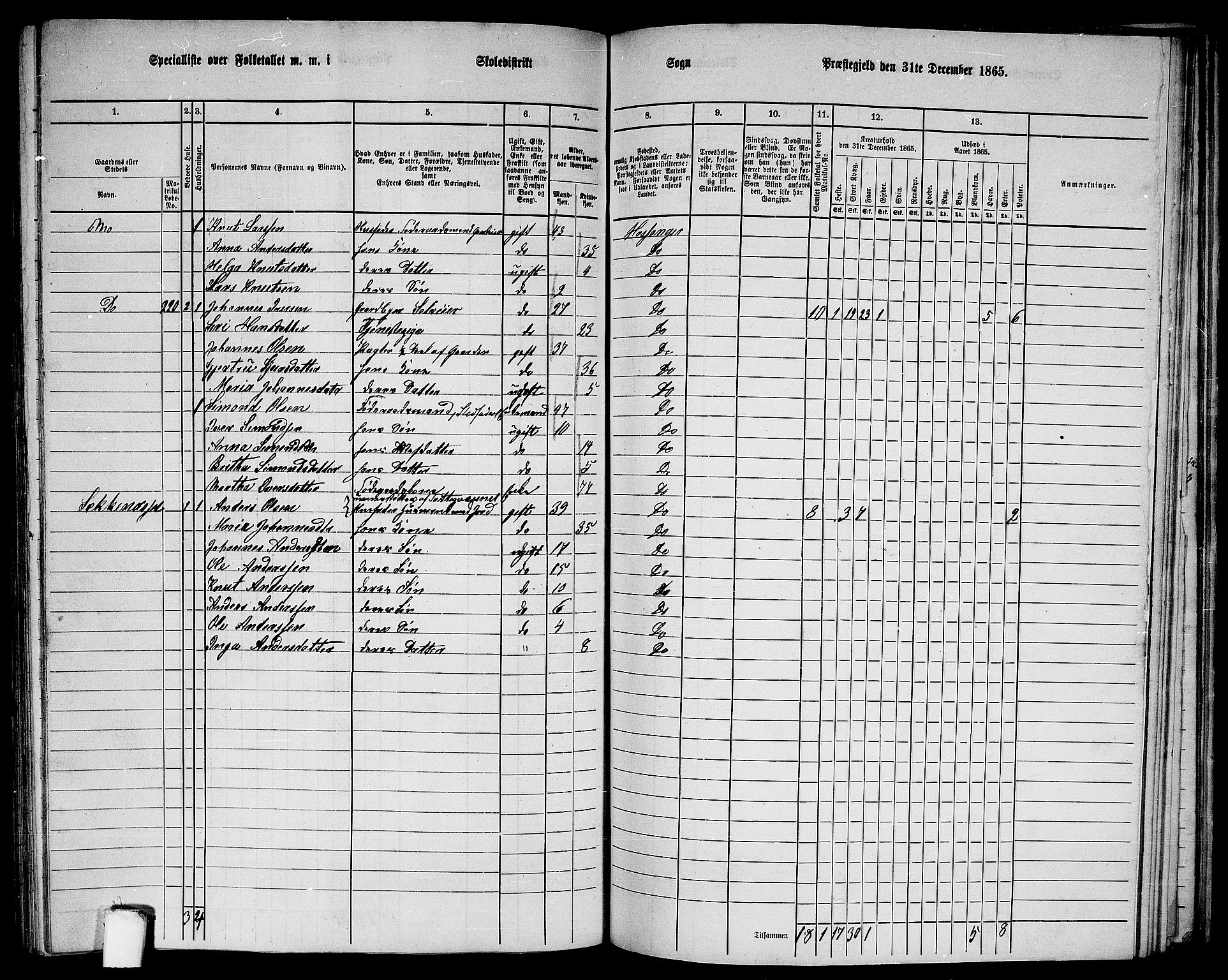 RA, 1865 census for Hosanger, 1865, p. 136