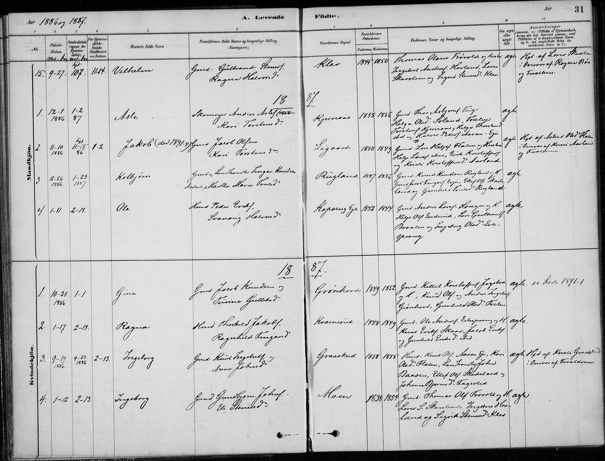 Sigdal kirkebøker, AV/SAKO-A-245/F/Fc/L0001: Parish register (official) no. III 1, 1879-1893, p. 31