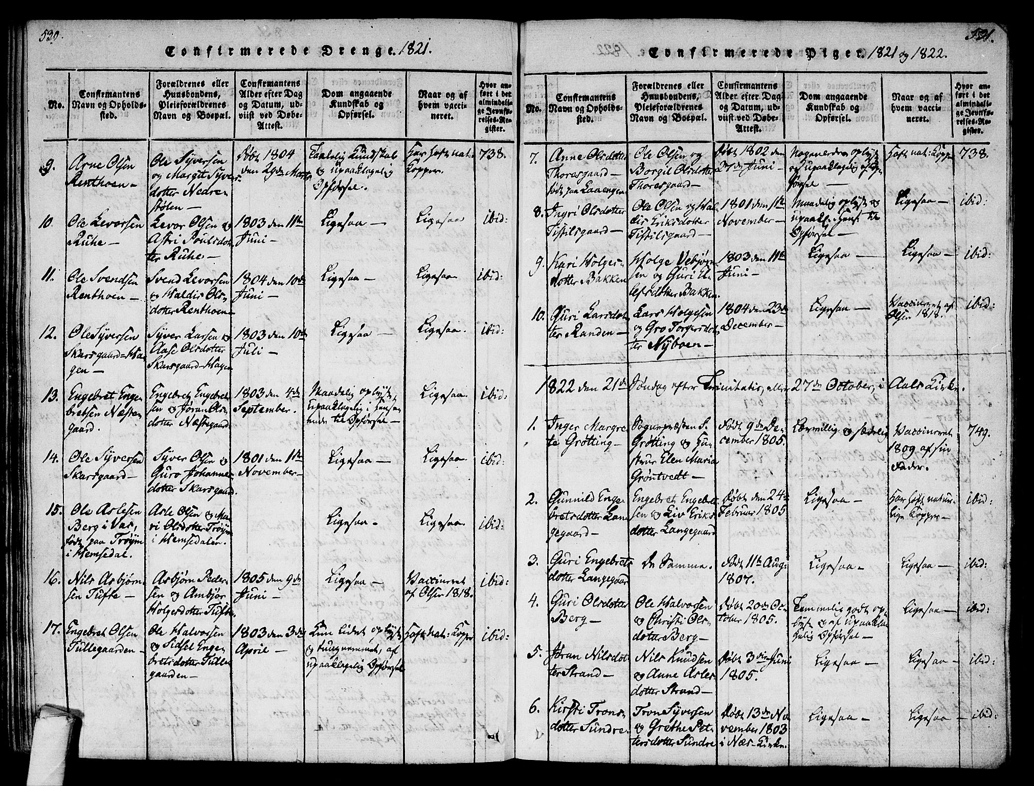 Ål kirkebøker, AV/SAKO-A-249/F/Fa/L0004: Parish register (official) no. I 4, 1815-1825, p. 530-531