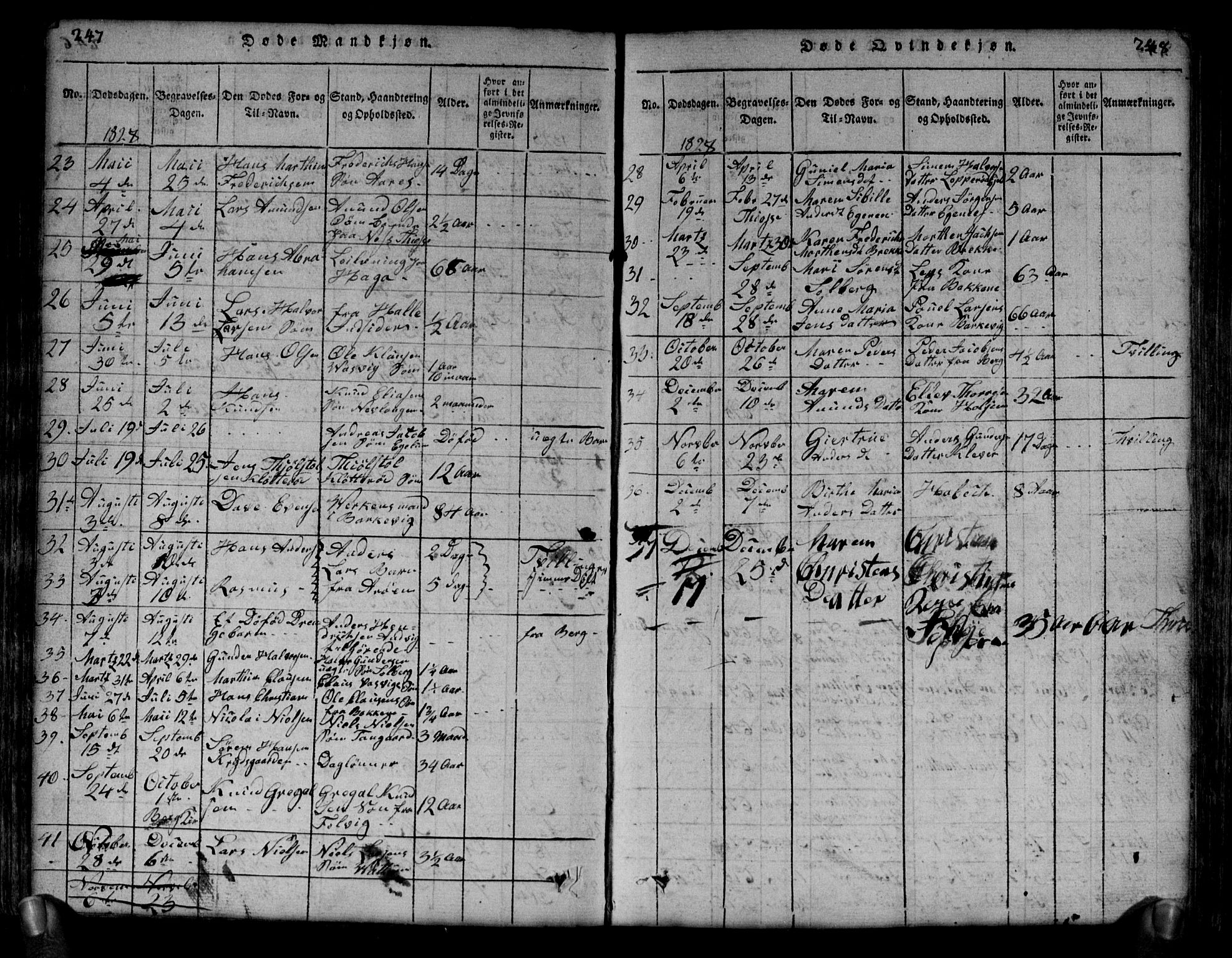 Brunlanes kirkebøker, AV/SAKO-A-342/G/Ga/L0001: Parish register (copy) no. I 1, 1814-1834, p. 247-248