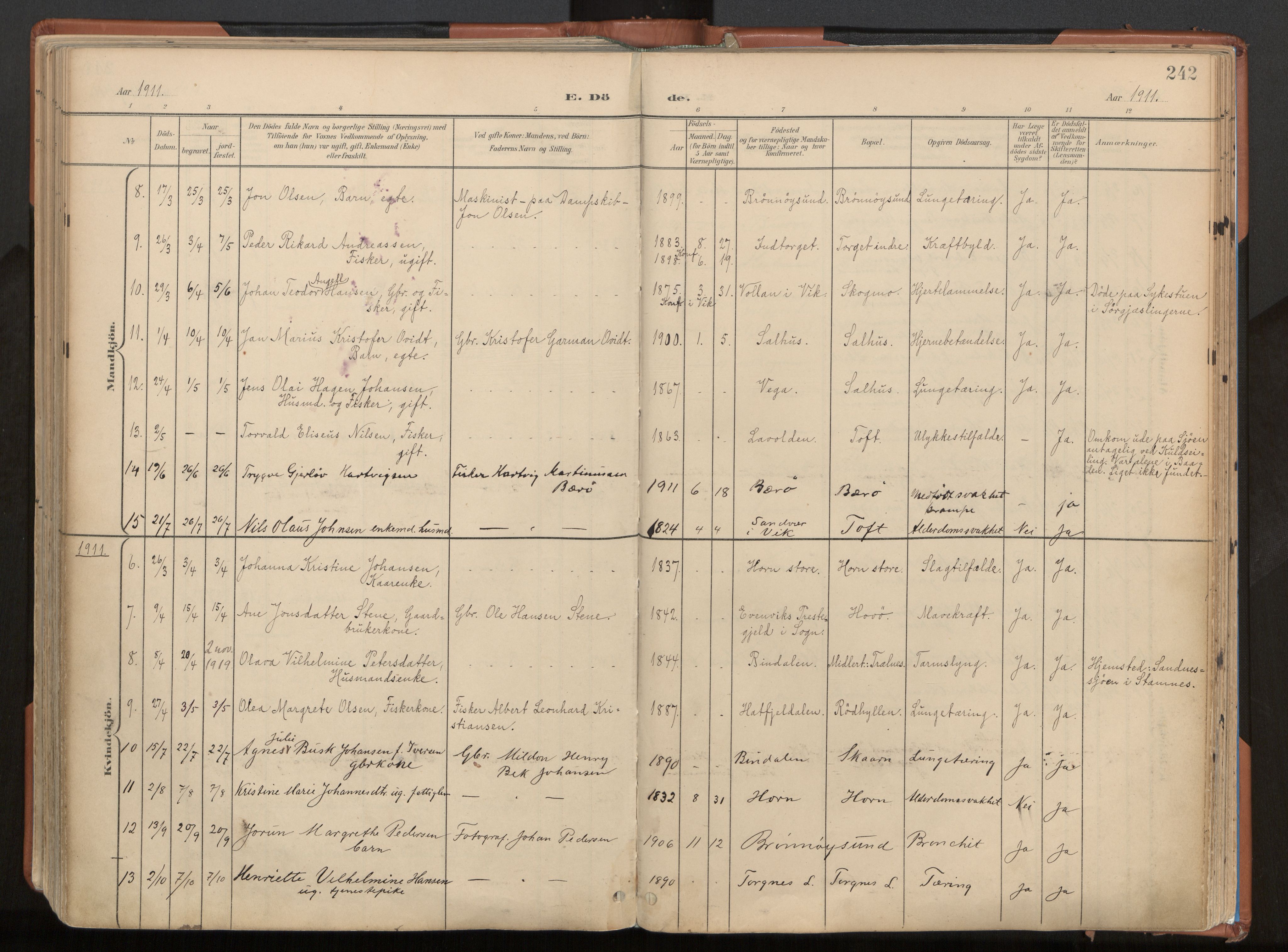 Ministerialprotokoller, klokkerbøker og fødselsregistre - Nordland, SAT/A-1459/813/L0201: Parish register (official) no. 813A11, 1901-1918, p. 242
