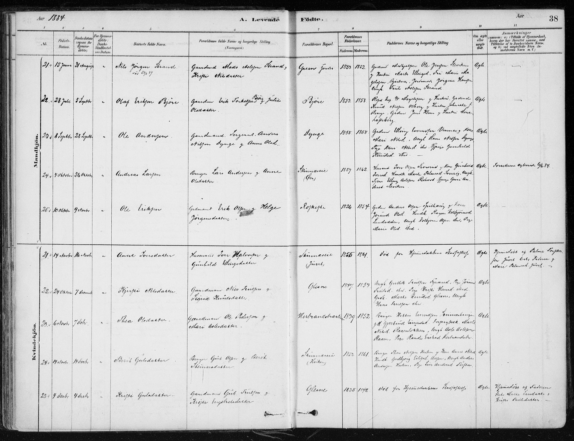 Krødsherad kirkebøker, SAKO/A-19/F/Fa/L0005: Parish register (official) no. 5, 1879-1888, p. 38