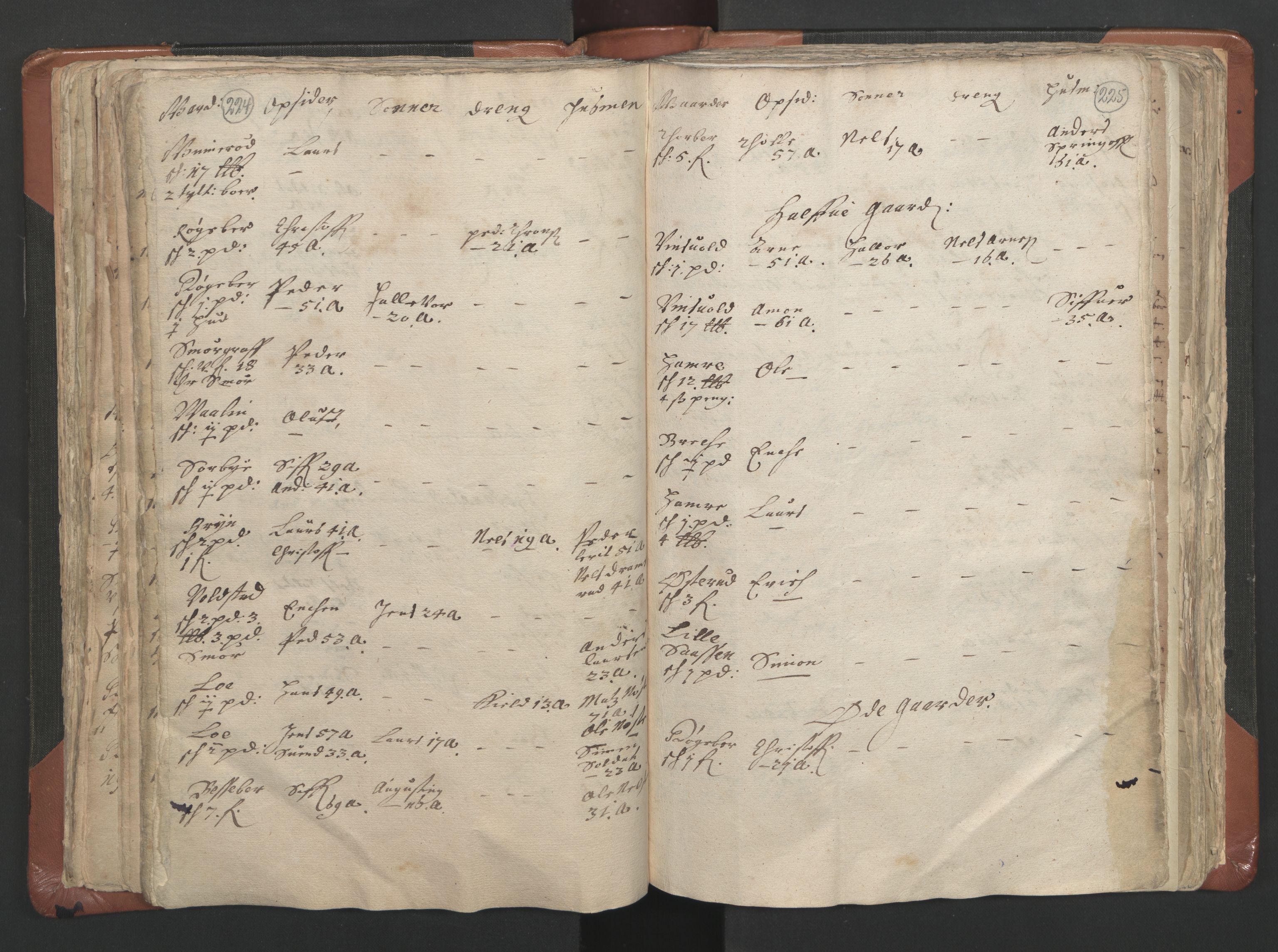 RA, Vicar's Census 1664-1666, no. 9: Bragernes deanery, 1664-1666, p. 224-225