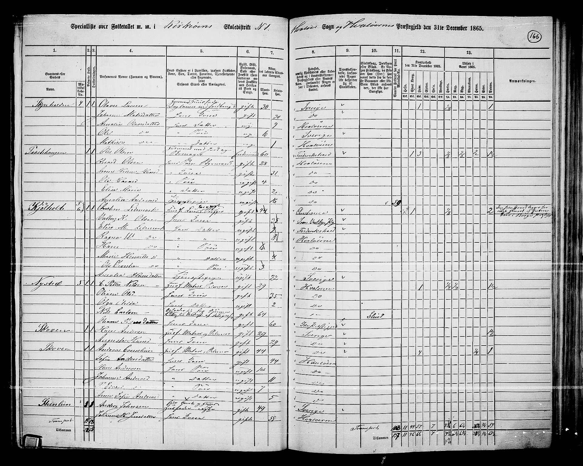 RA, 1865 census for Hvaler, 1865, p. 9