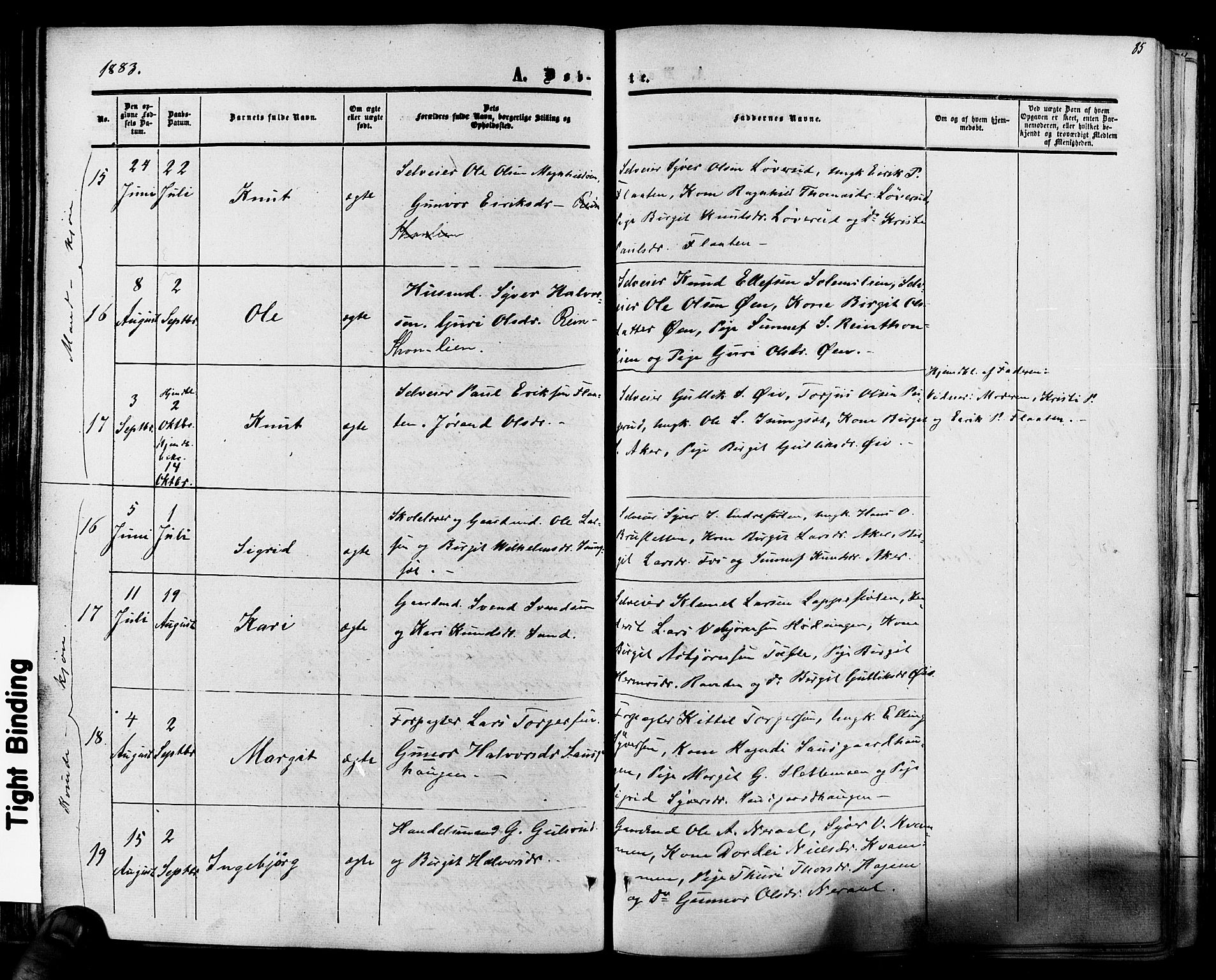 Hol kirkebøker, AV/SAKO-A-227/F/Fa/L0002: Parish register (official) no. I 2, 1870-1886, p. 85