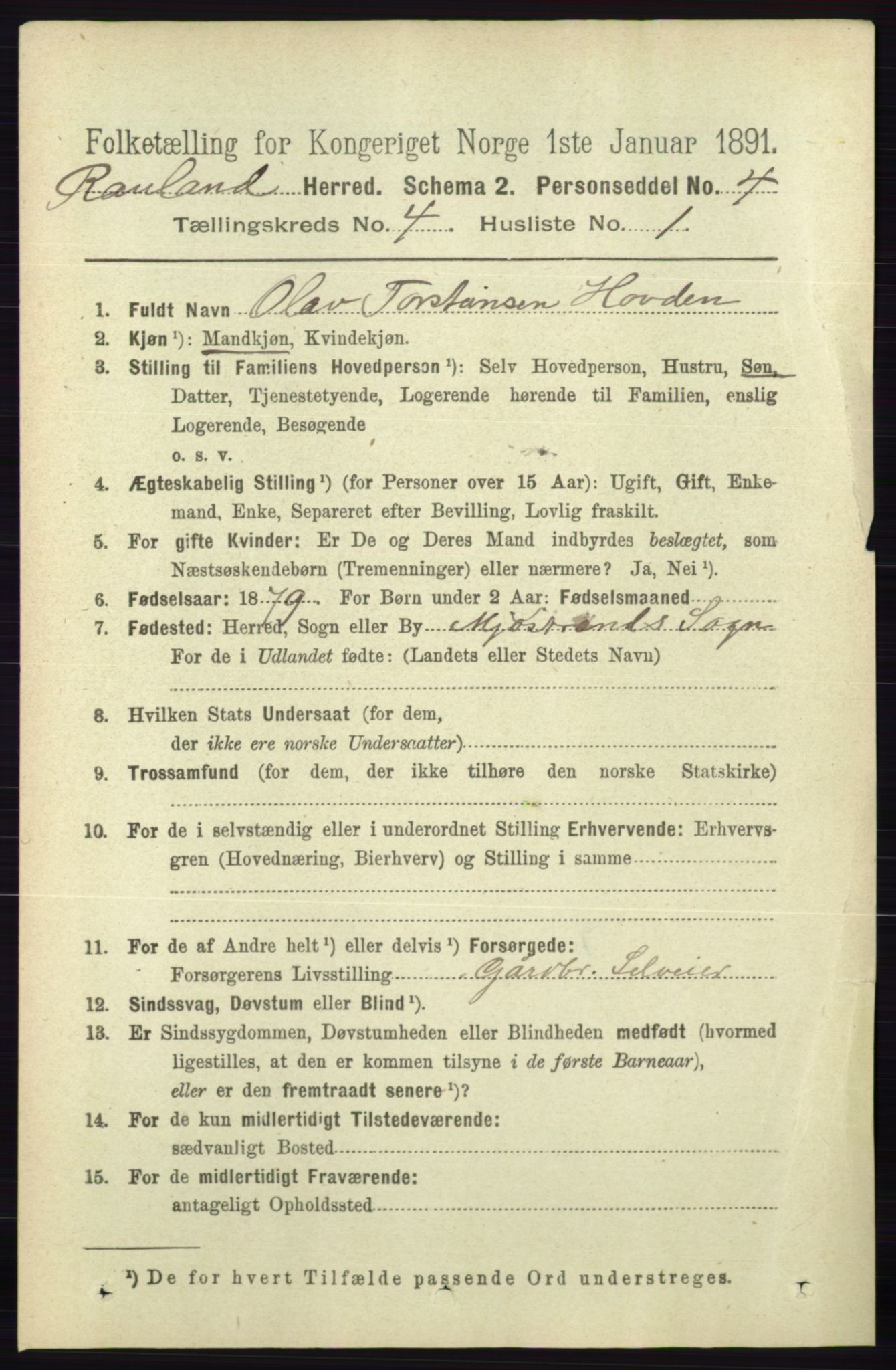 RA, 1891 census for 0835 Rauland, 1891, p. 1015