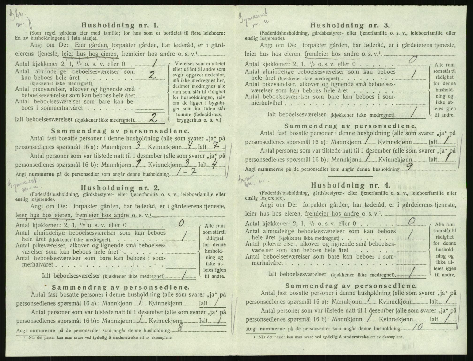 SAK, 1920 census for Hornnes, 1920, p. 302