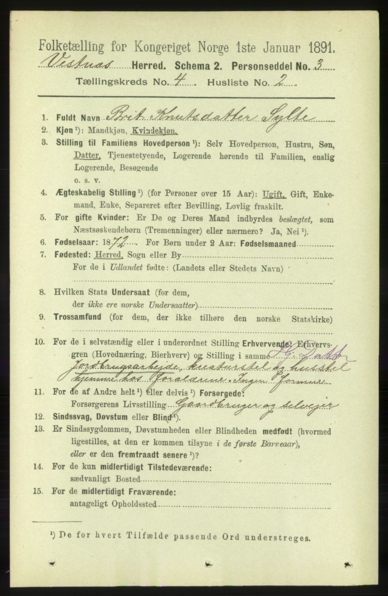 RA, 1891 census for 1535 Vestnes, 1891, p. 1308