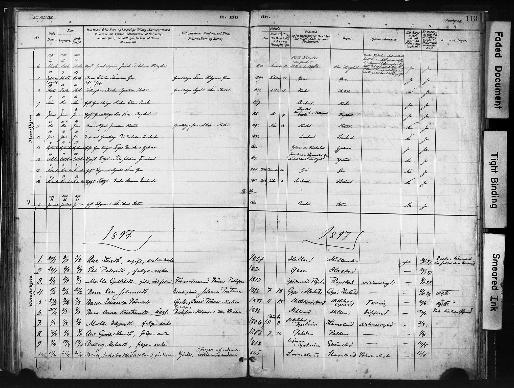 Helleland sokneprestkontor, SAST/A-101810: Parish register (official) no. A 8, 1887-1907, p. 113