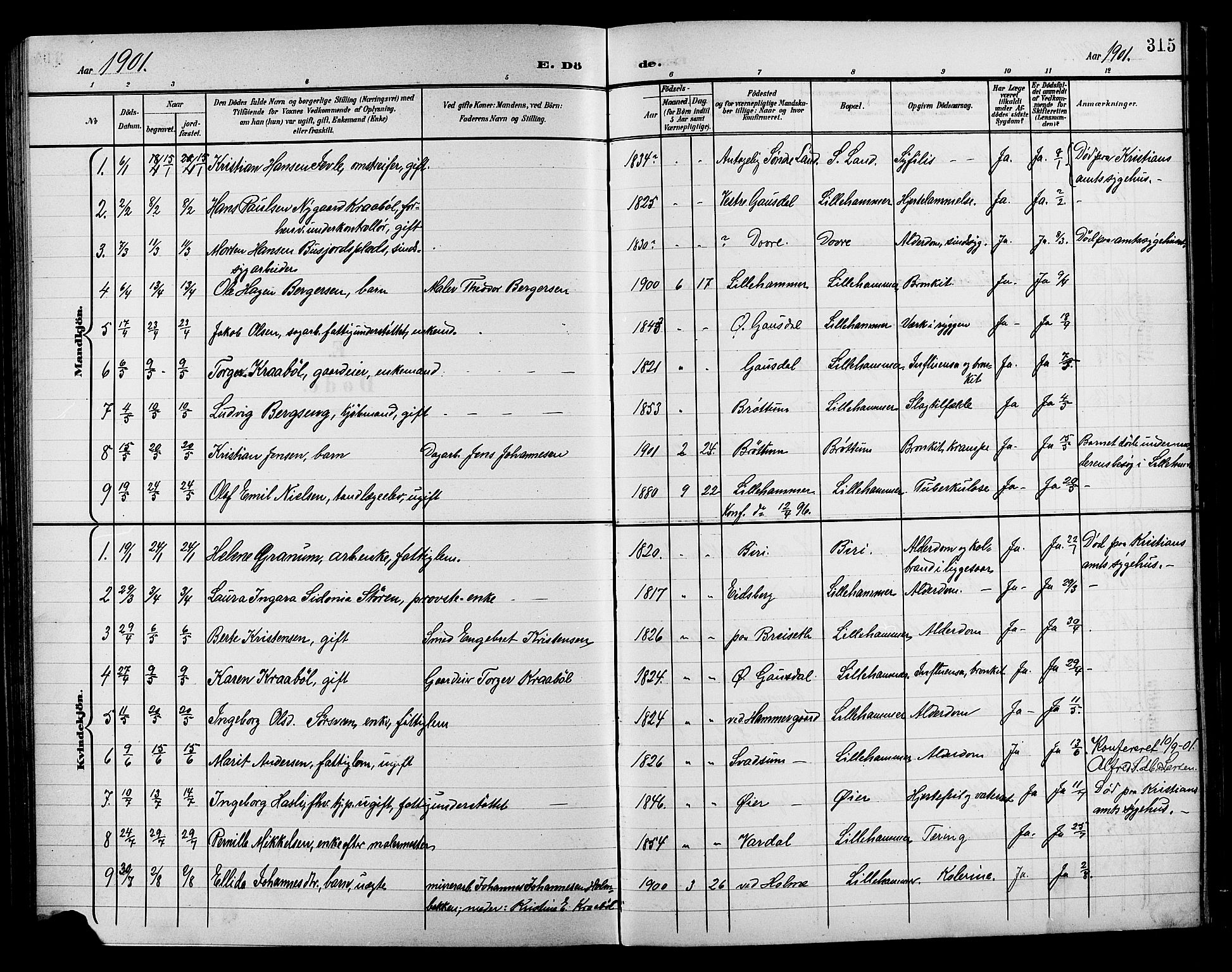Lillehammer prestekontor, AV/SAH-PREST-088/H/Ha/Hab/L0001: Parish register (copy) no. 1, 1901-1913, p. 315