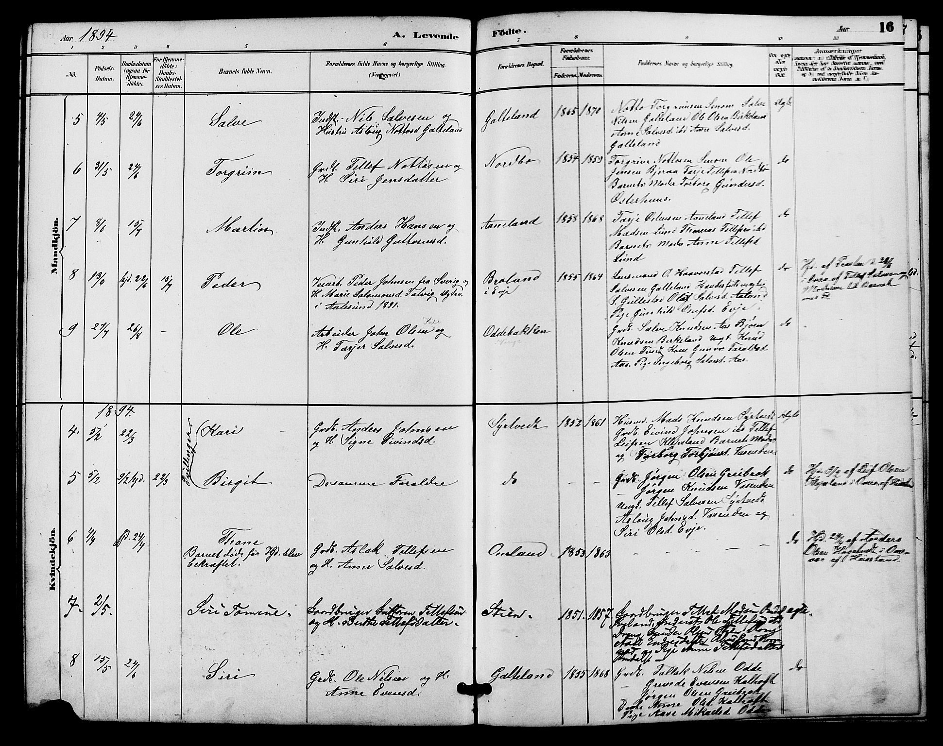Evje sokneprestkontor, SAK/1111-0008/F/Fb/Fba/L0003: Parish register (copy) no. B 3, 1888-1903, p. 17