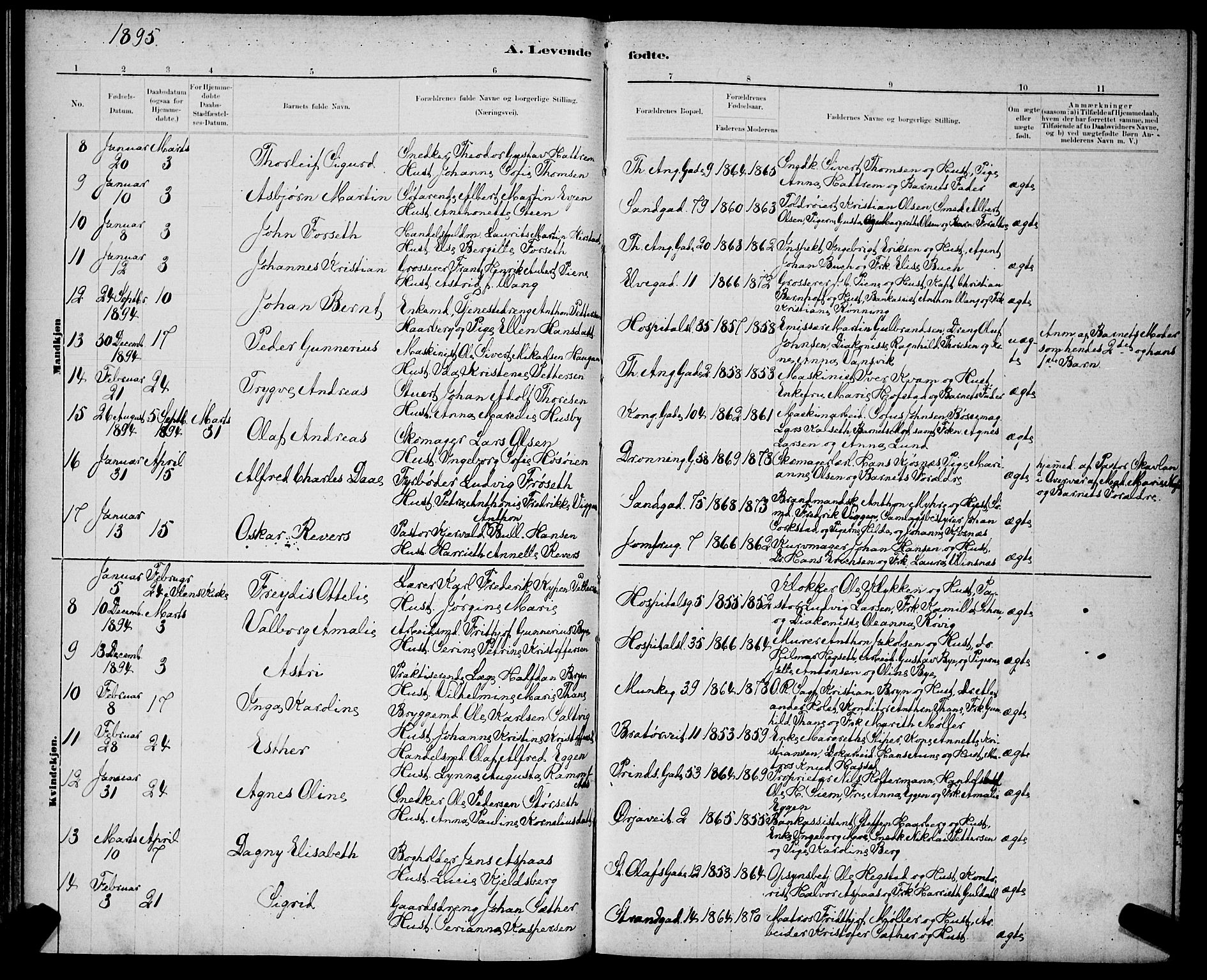 Ministerialprotokoller, klokkerbøker og fødselsregistre - Sør-Trøndelag, AV/SAT-A-1456/602/L0143: Parish register (copy) no. 602C11, 1878-1902