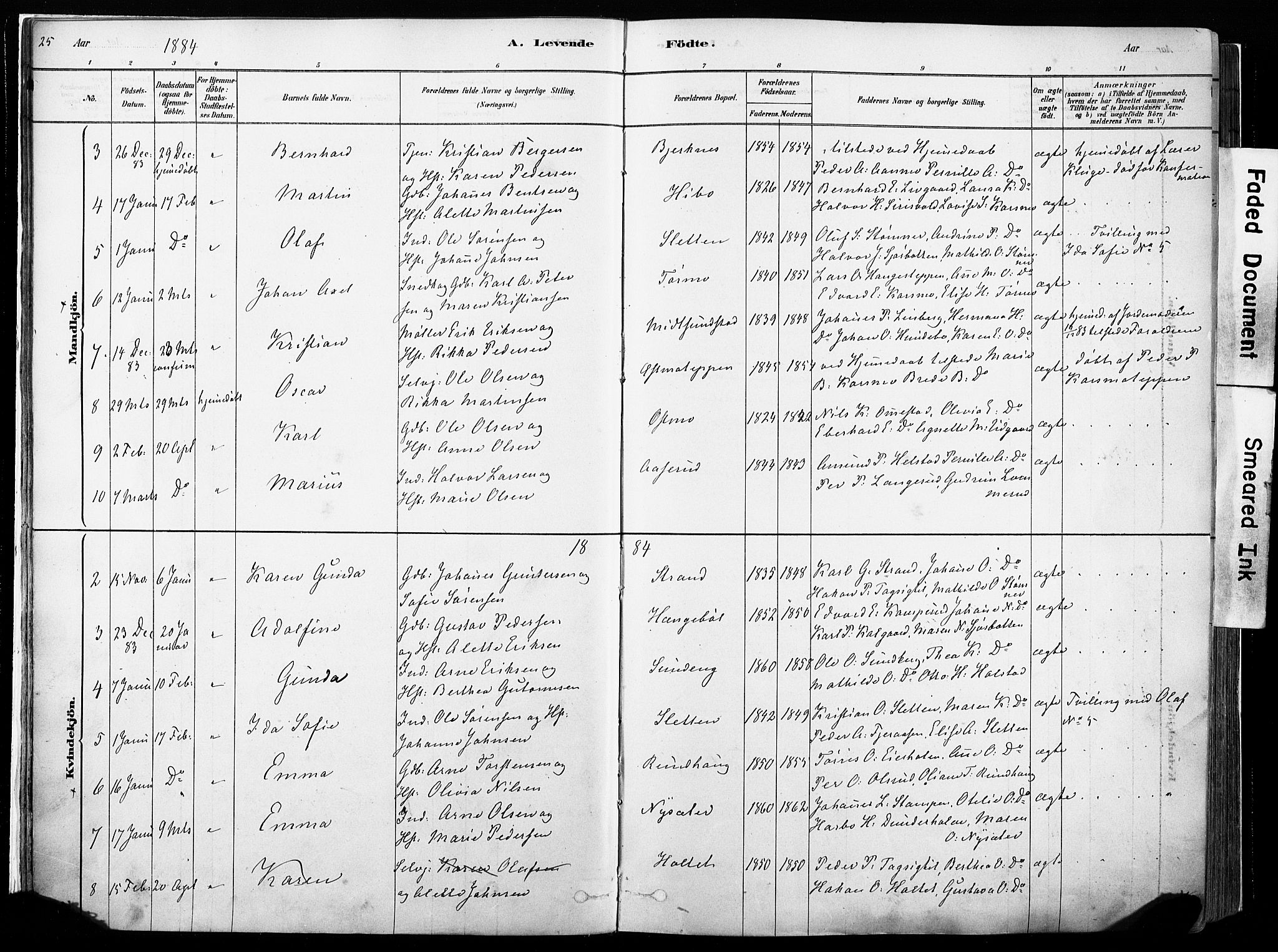 Hof prestekontor, AV/SAH-PREST-038/H/Ha/Haa/L0010: Parish register (official) no. 10, 1878-1909, p. 25