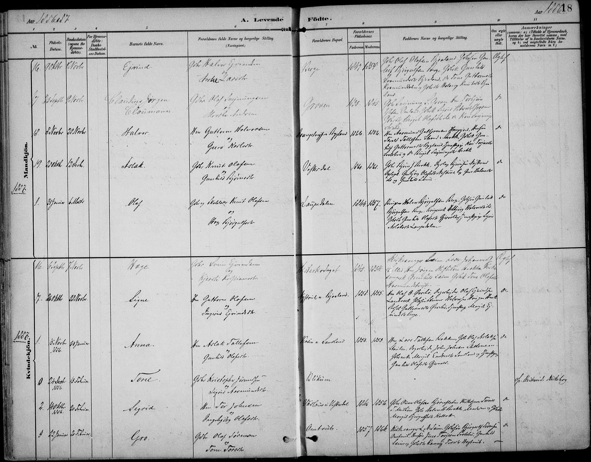 Kviteseid kirkebøker, SAKO/A-276/F/Fb/L0002: Parish register (official) no. II 2, 1882-1916, p. 18
