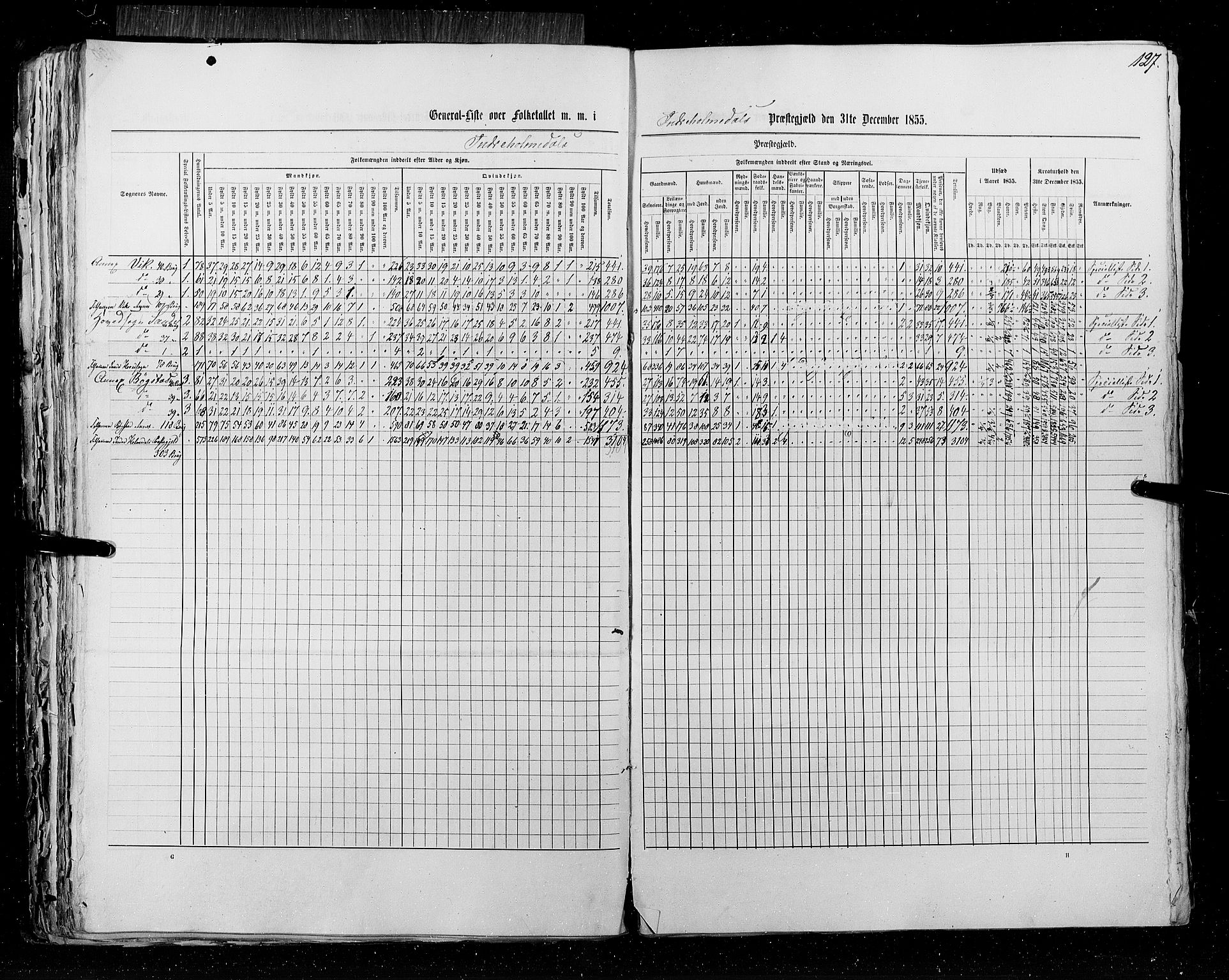 RA, Census 1855, vol. 5: Nordre Bergenhus amt, Romsdal amt og Søndre Trondhjem amt, 1855, p. 127