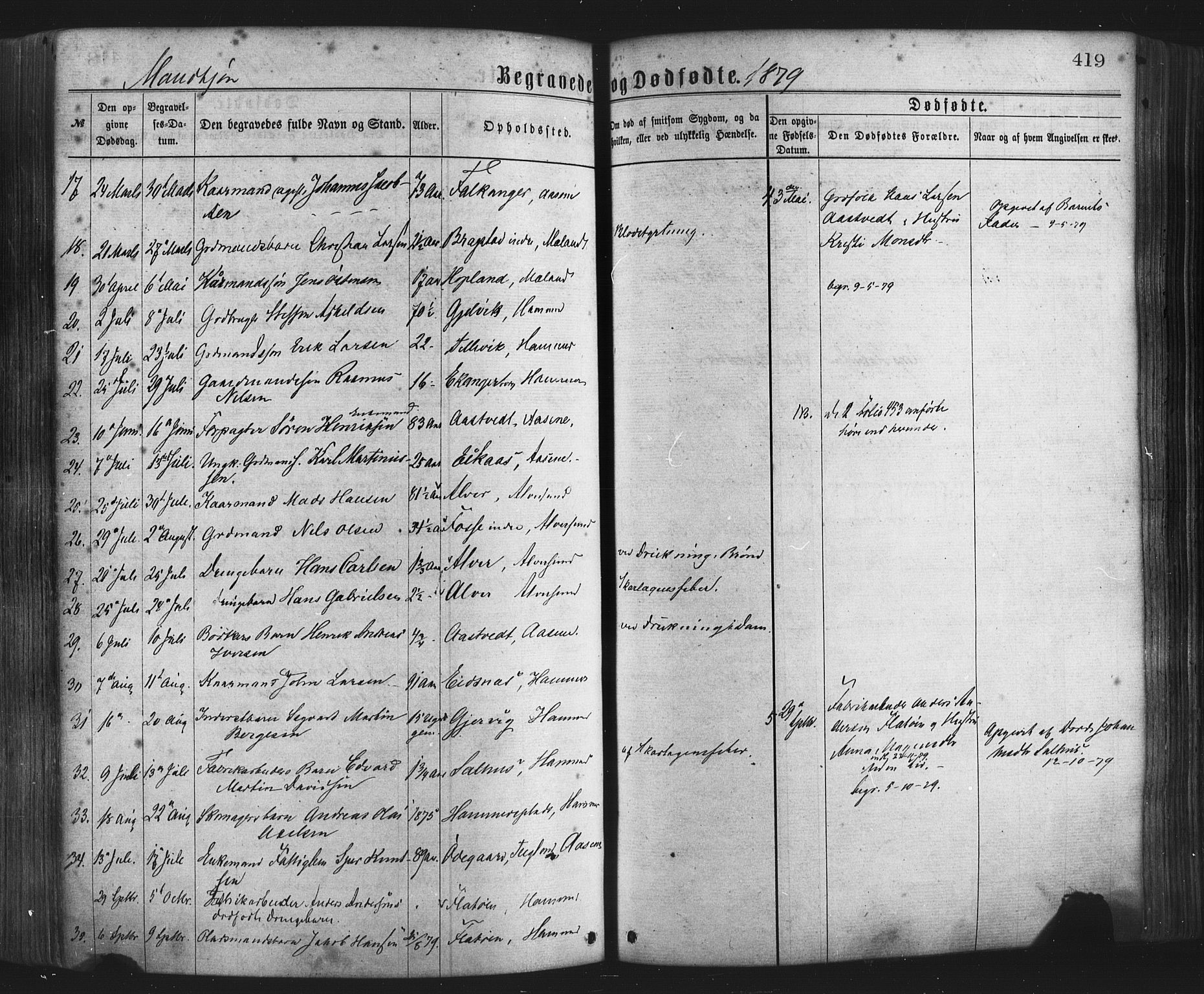 Hamre sokneprestembete, AV/SAB-A-75501/H/Ha/Haa/Haaa/L0015: Parish register (official) no. A 15, 1870-1881, p. 419