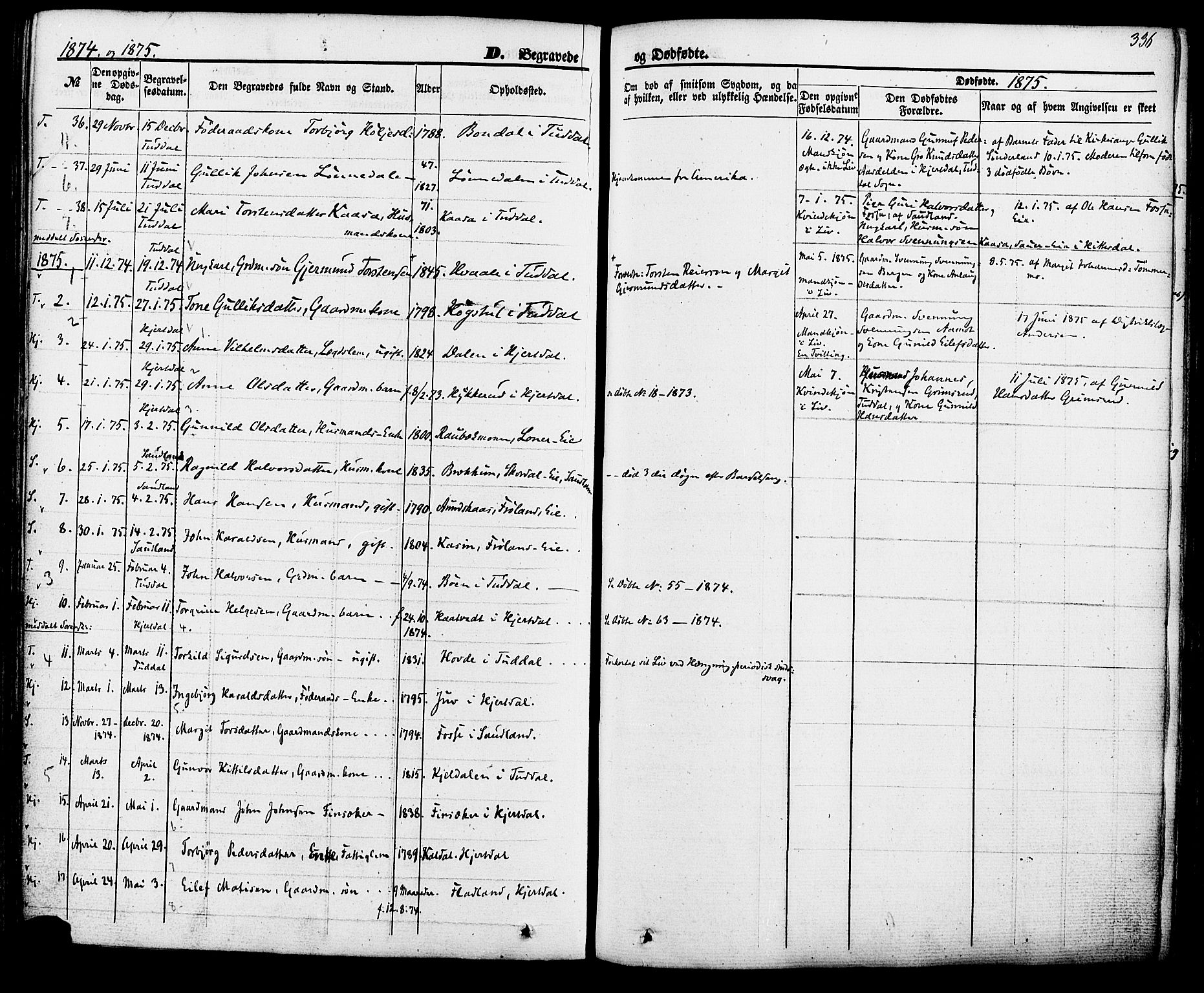 Hjartdal kirkebøker, SAKO/A-270/F/Fa/L0009: Parish register (official) no. I 9, 1860-1879, p. 336