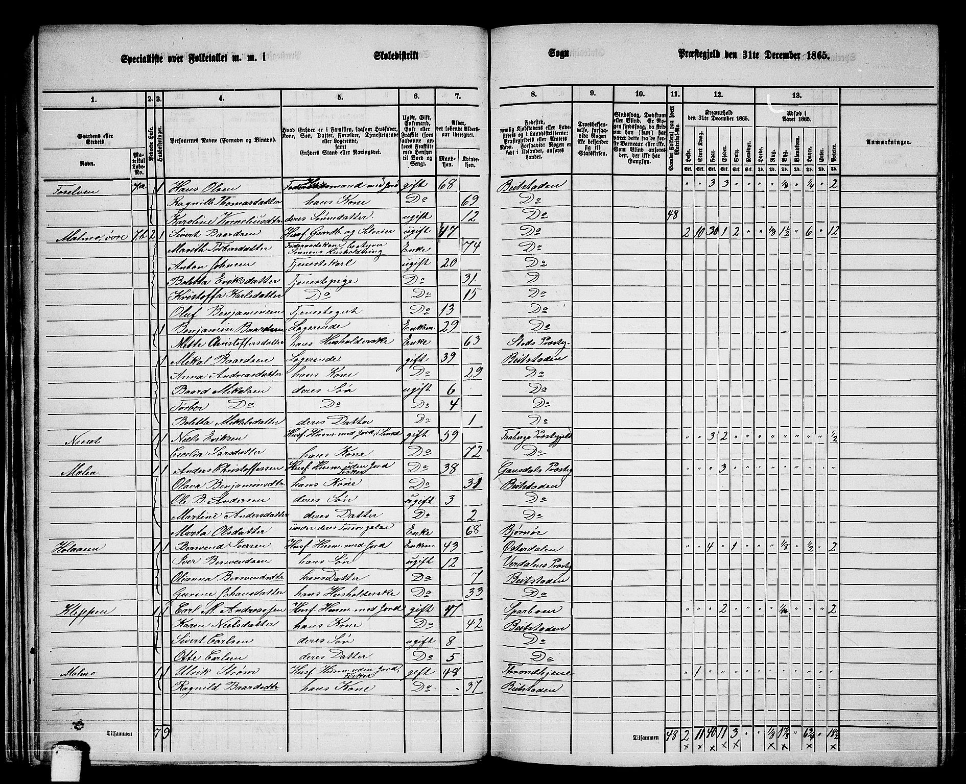 RA, 1865 census for Beitstad, 1865, p. 37