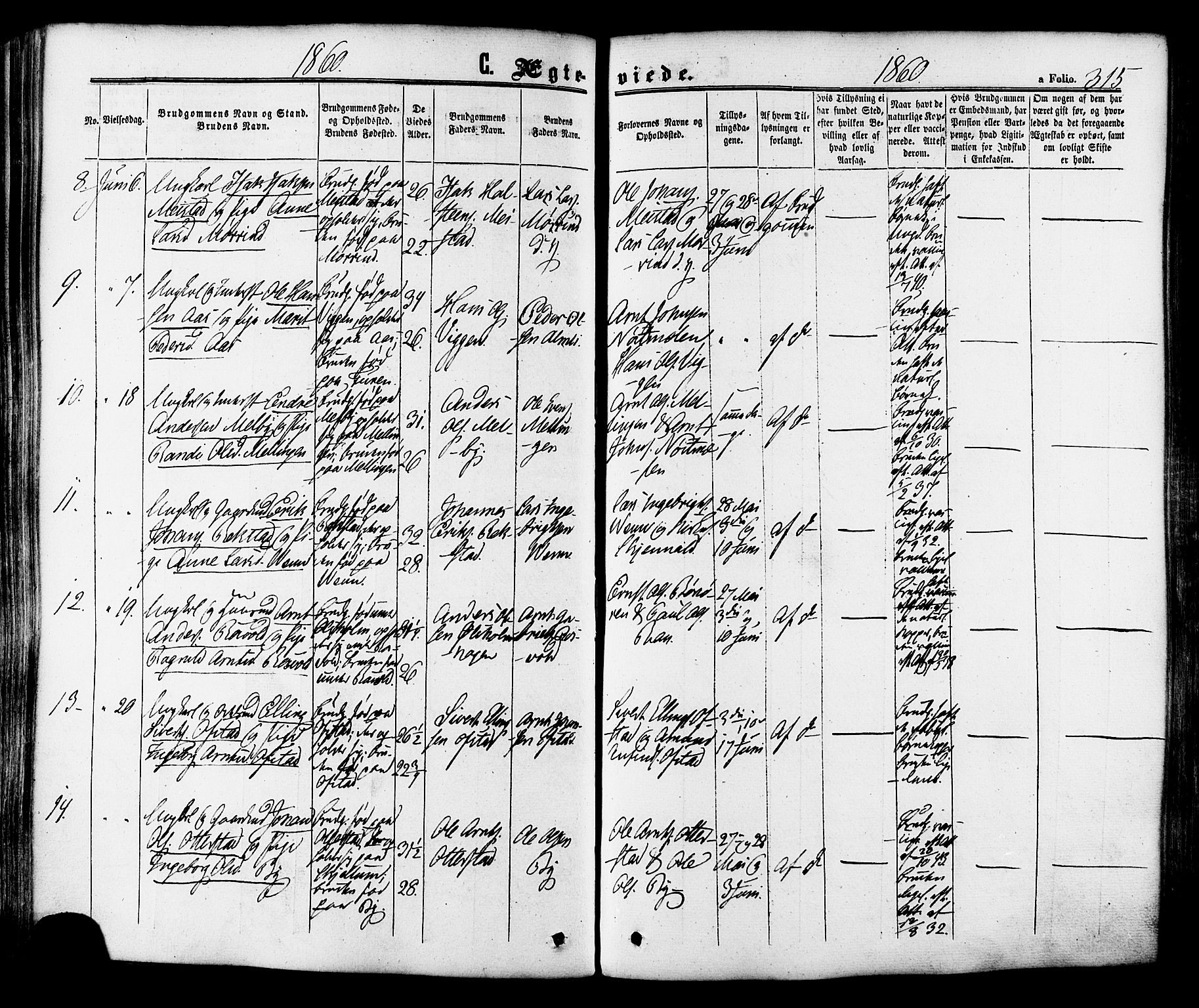 Ministerialprotokoller, klokkerbøker og fødselsregistre - Sør-Trøndelag, AV/SAT-A-1456/665/L0772: Parish register (official) no. 665A07, 1856-1878, p. 315