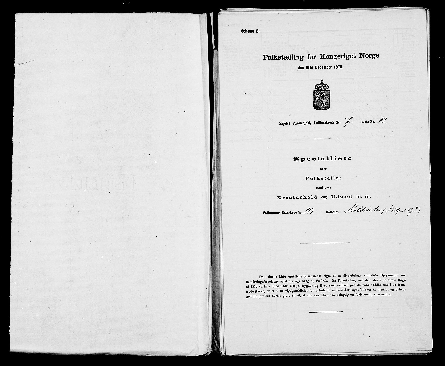 SAST, 1875 census for 1154P Skjold, 1875, p. 619