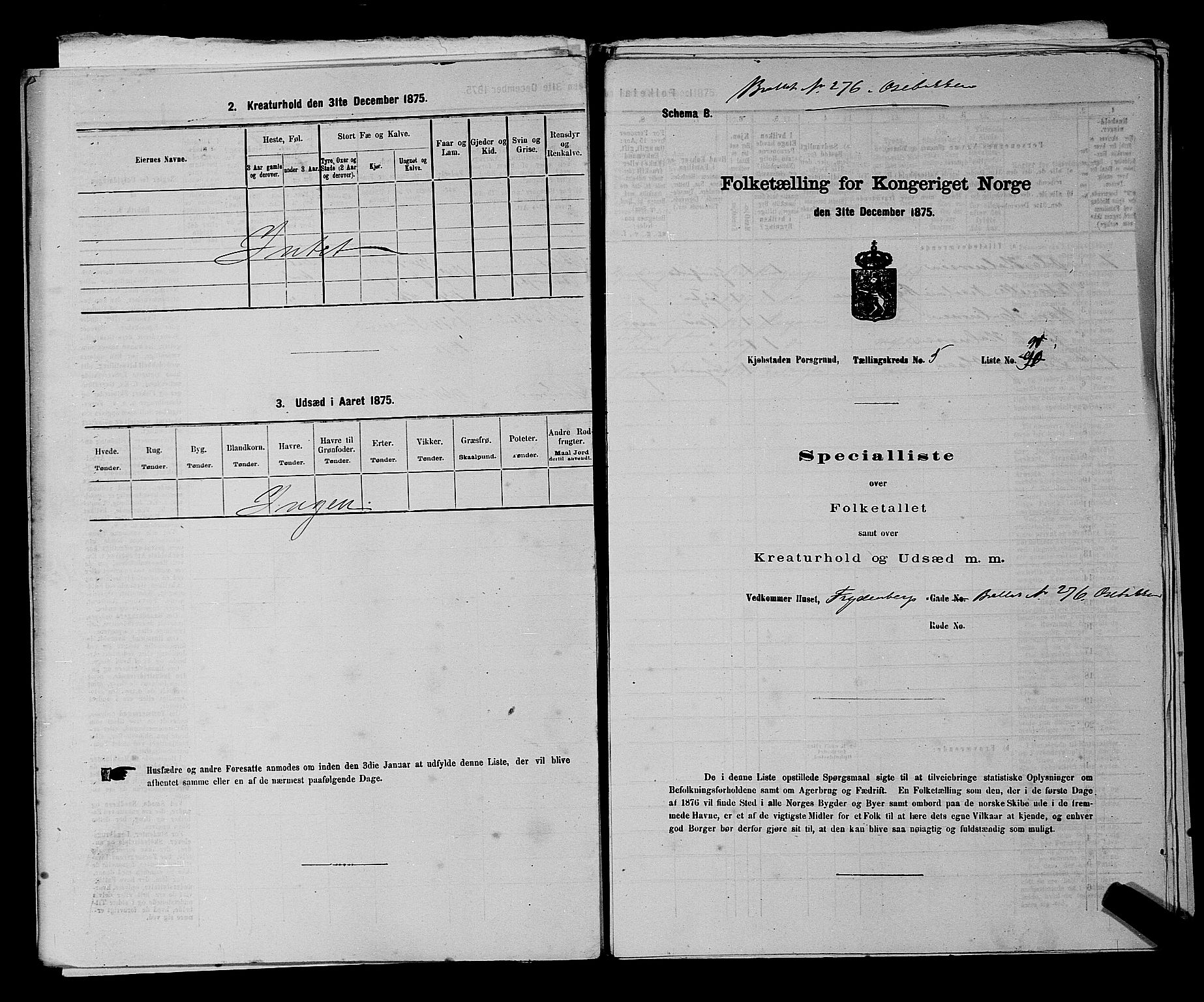 SAKO, 1875 census for 0805P Porsgrunn, 1875, p. 227