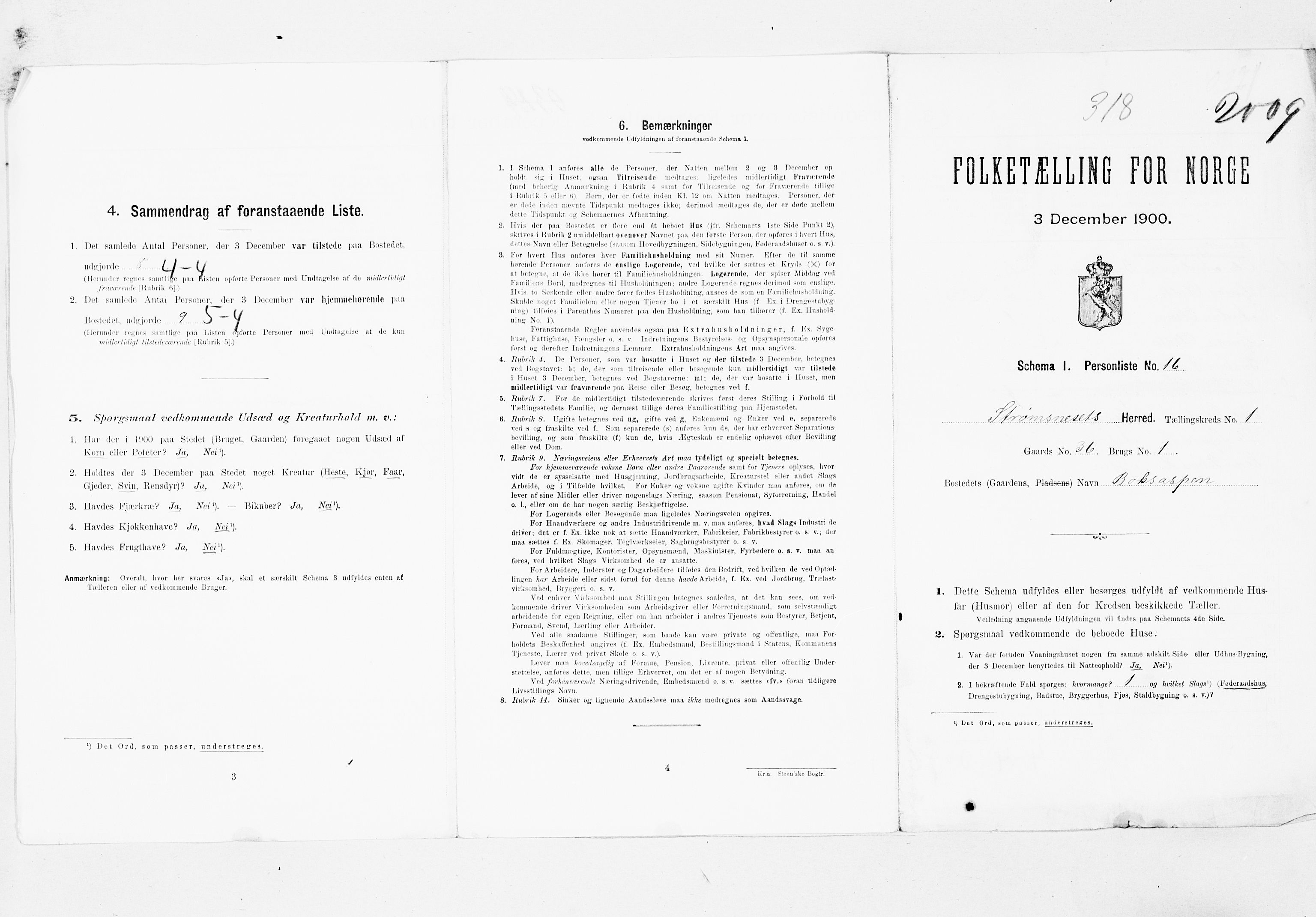 SAT, 1900 census for Straumsnes, 1900, p. 12