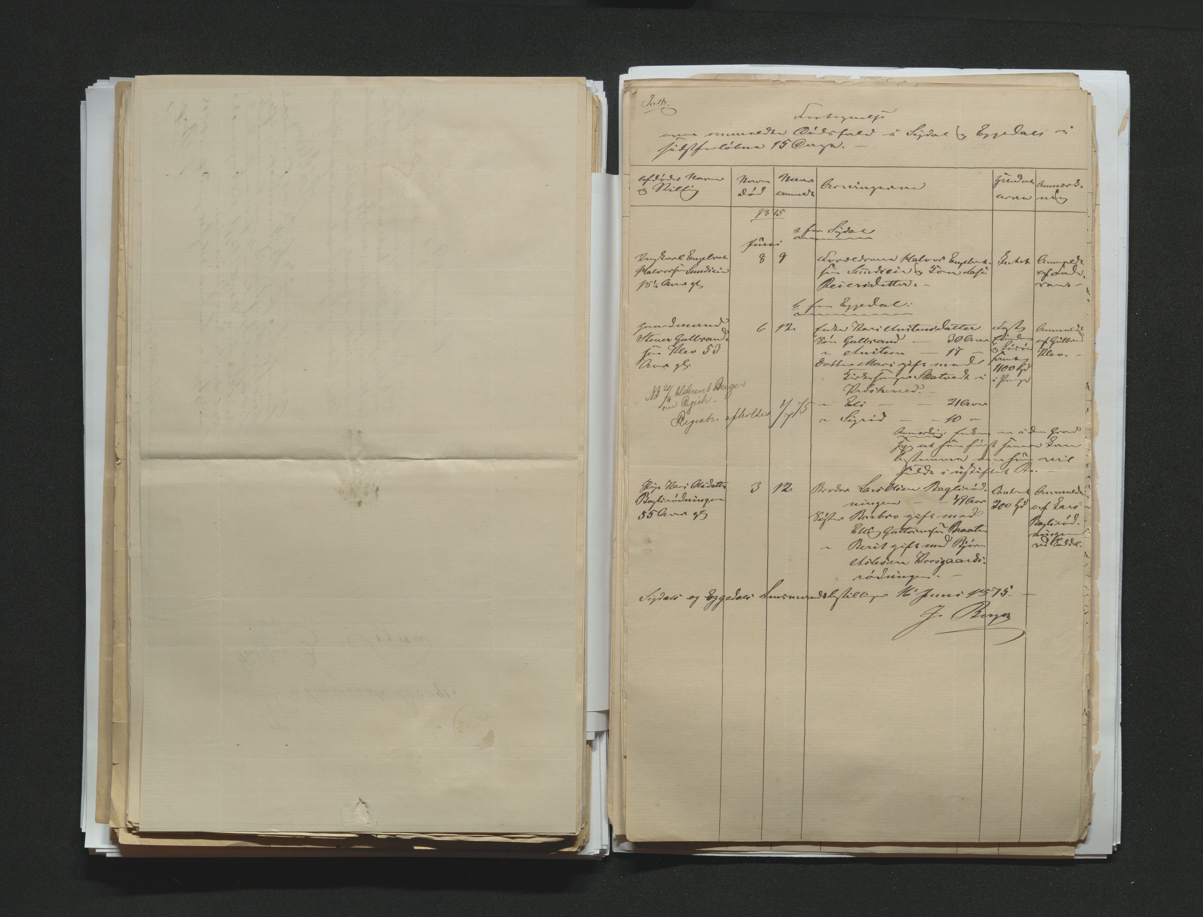 Eiker, Modum og Sigdal sorenskriveri, AV/SAKO-A-123/H/Ha/Hab/L0014: Dødsfallsmeldinger, 1874-1877, p. 295