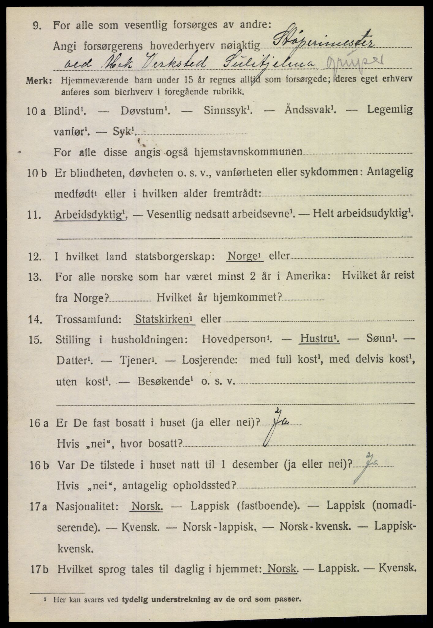 SAT, 1920 census for Fauske, 1920, p. 4179