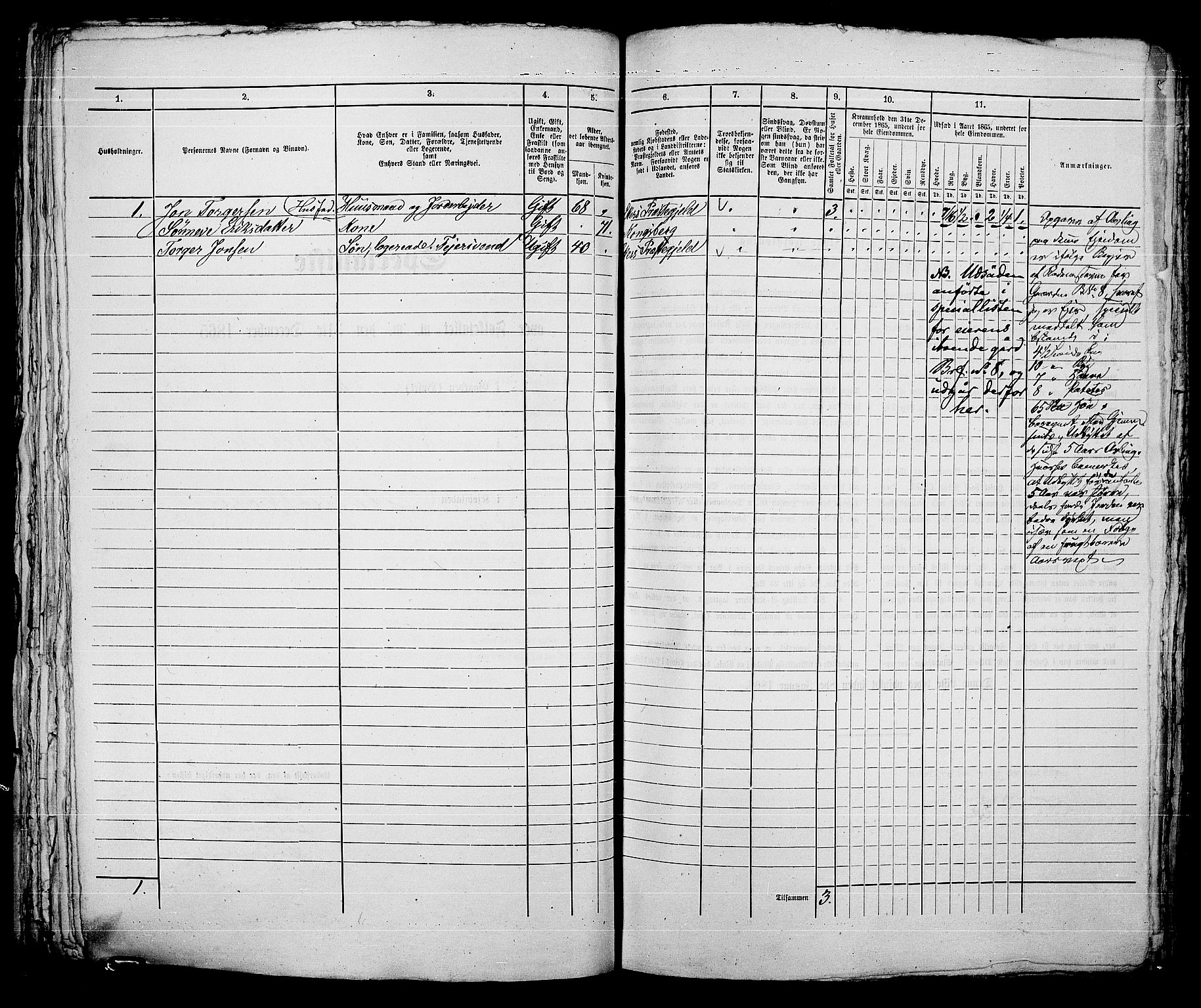 RA, 1865 census for Kongsberg/Kongsberg, 1865, p. 725