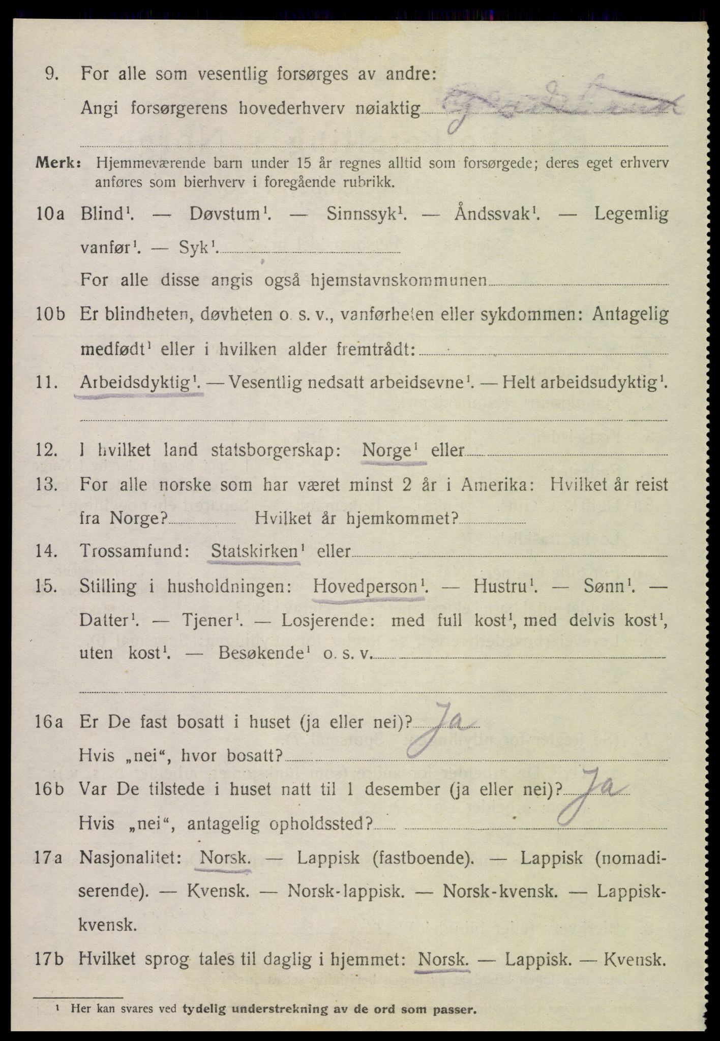 SAT, 1920 census for Hamarøy, 1920, p. 5675