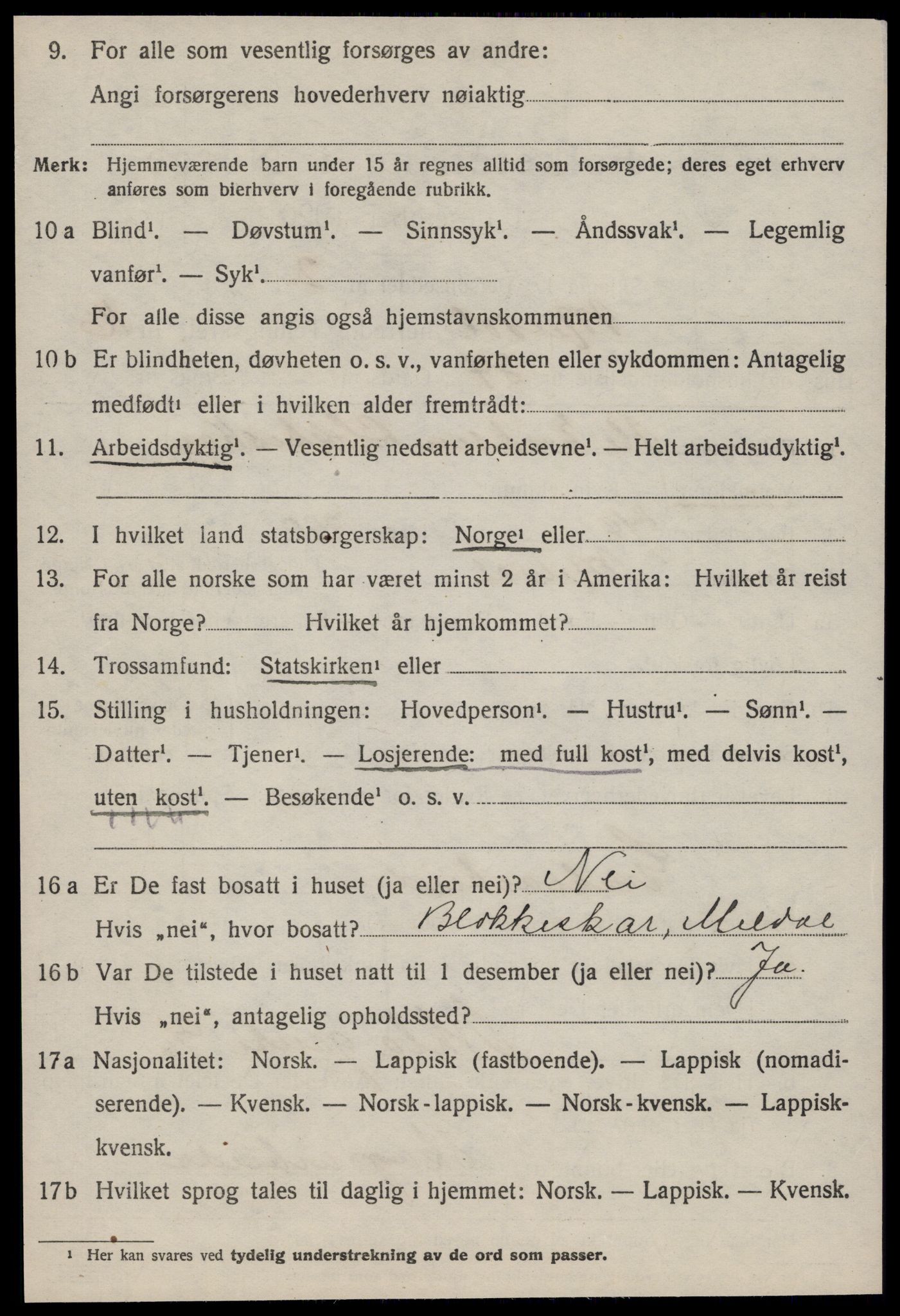 SAT, 1920 census for Meldal, 1920, p. 11122