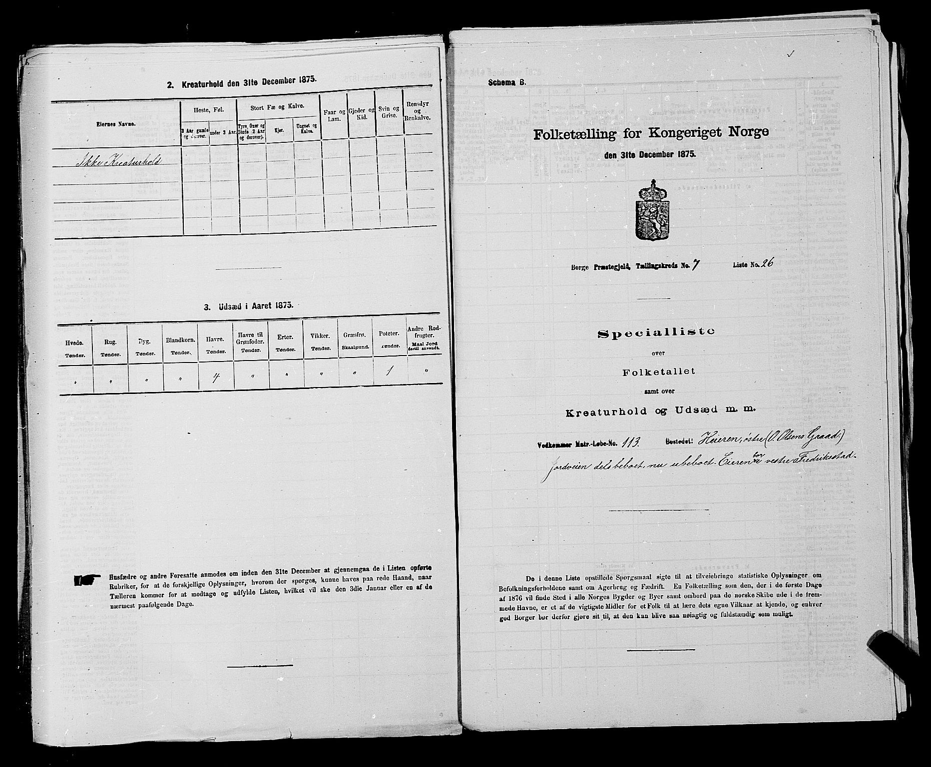 RA, 1875 census for 0113P Borge, 1875, p. 992