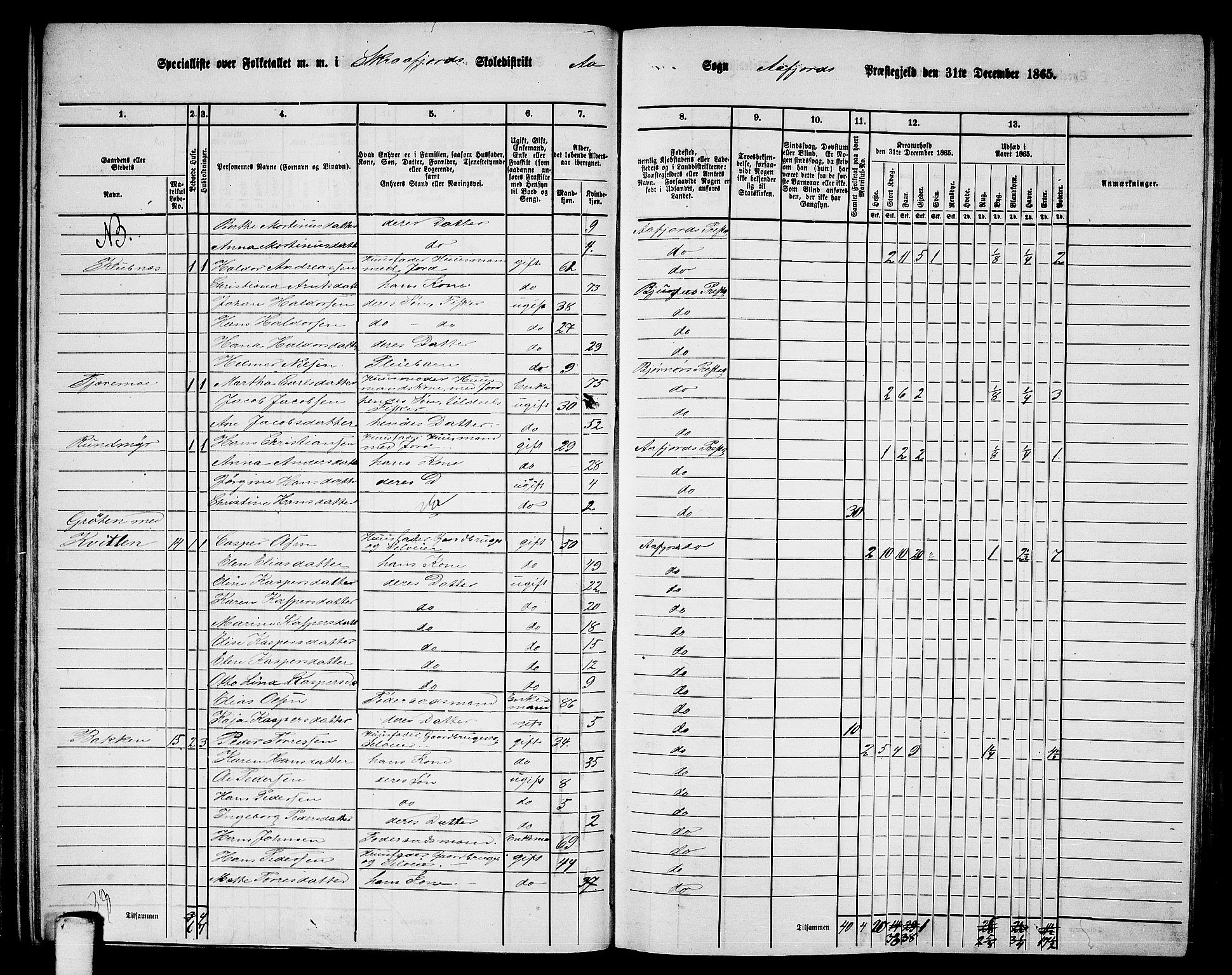 RA, 1865 census for Aafjorden, 1865, p. 55