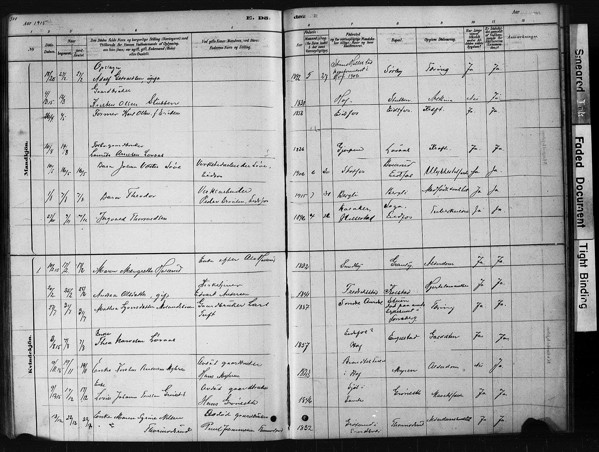 Hof kirkebøker, AV/SAKO-A-64/G/Ga/L0004: Parish register (copy) no. I 4, 1878-1930, p. 300