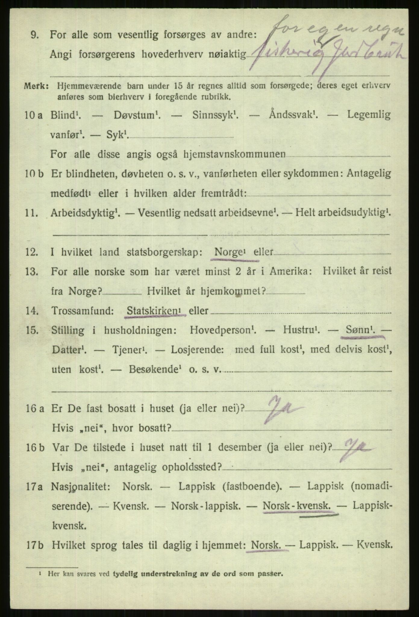 SATØ, 1920 census for Lyngen, 1920, p. 10396