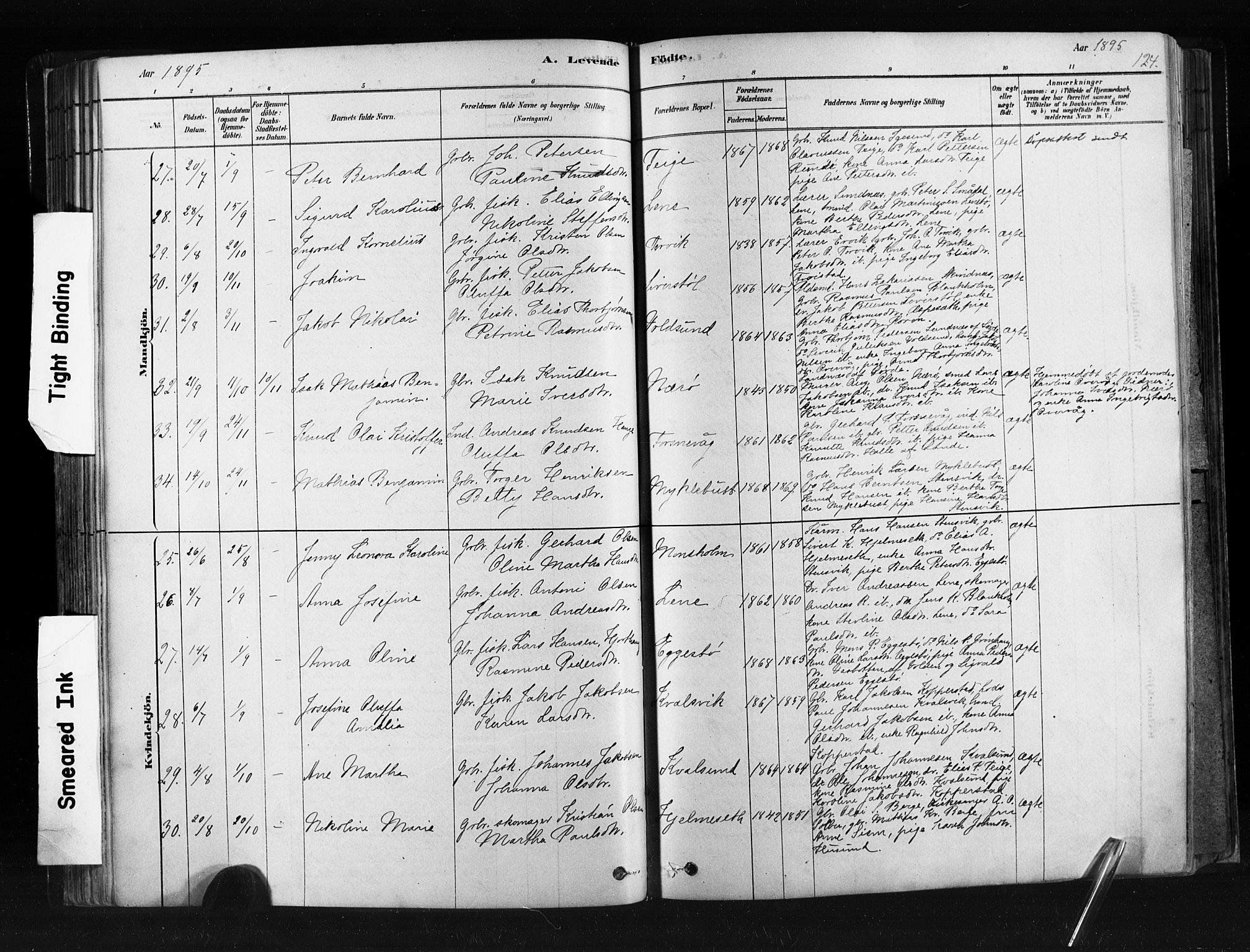 Ministerialprotokoller, klokkerbøker og fødselsregistre - Møre og Romsdal, AV/SAT-A-1454/507/L0073: Parish register (official) no. 507A08, 1878-1904, p. 124