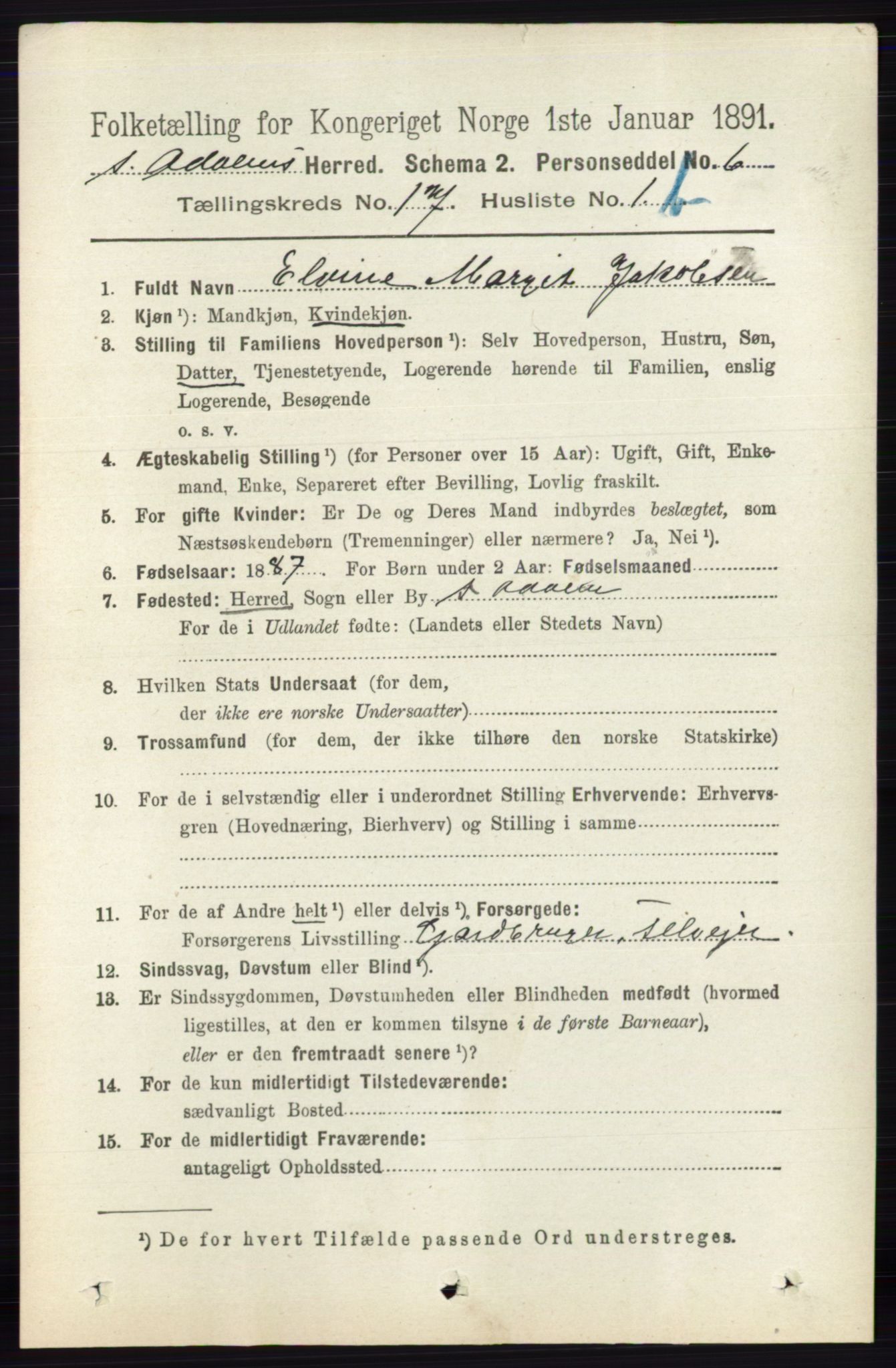 RA, 1891 census for 0419 Sør-Odal, 1891, p. 7844