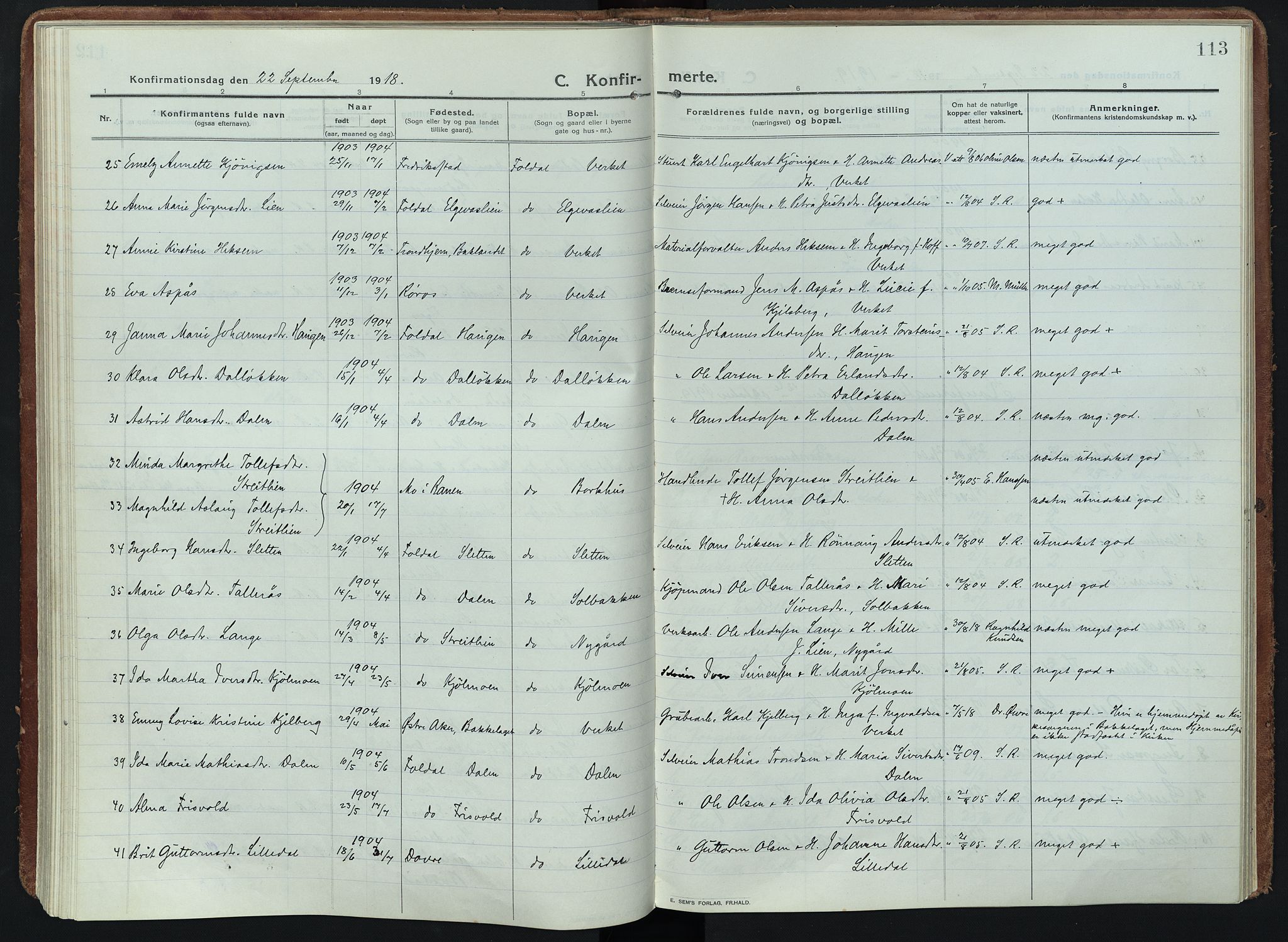 Alvdal prestekontor, AV/SAH-PREST-060/H/Ha/Haa/L0005: Parish register (official) no. 5, 1913-1930, p. 113