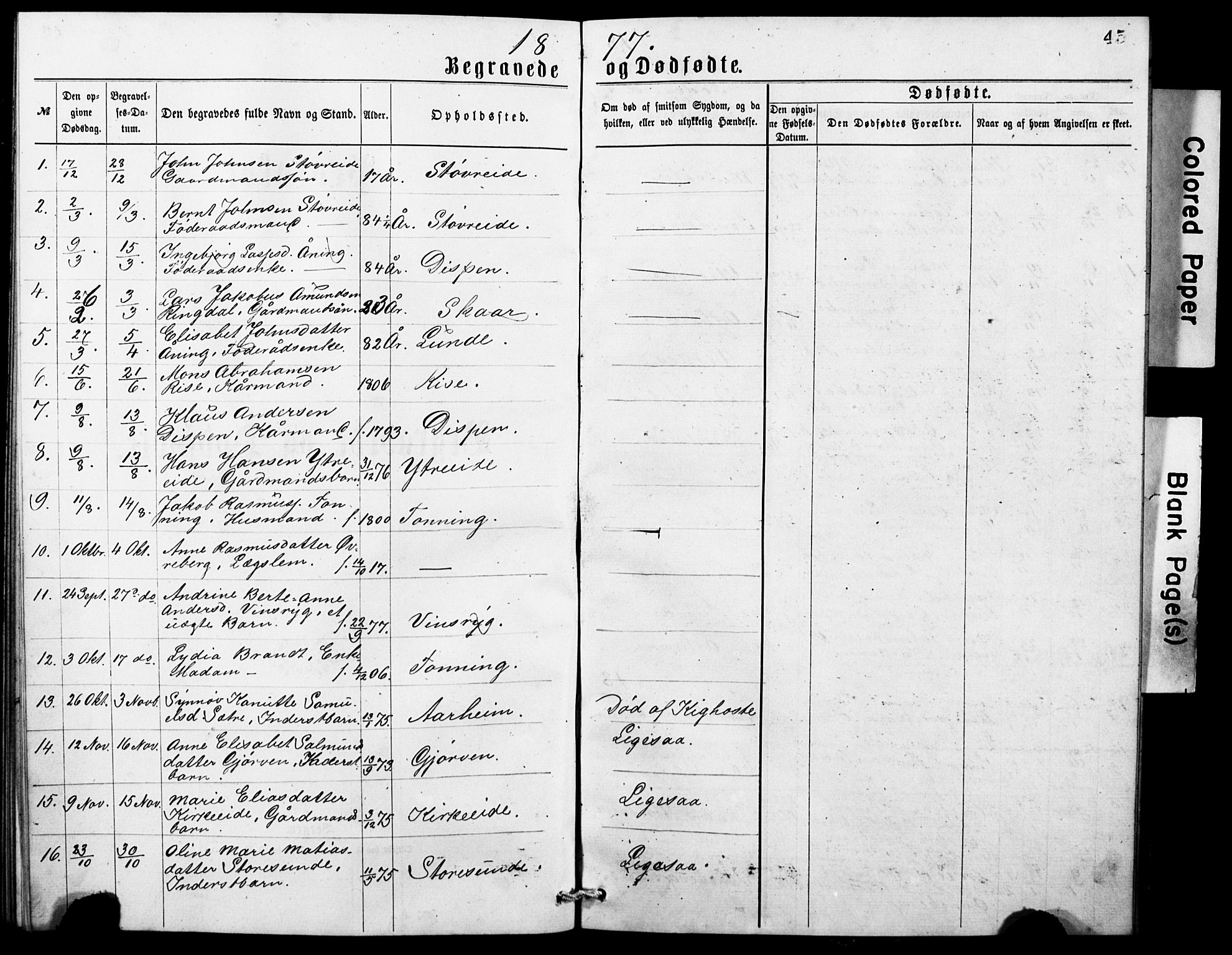 Stryn Sokneprestembete, AV/SAB-A-82501: Parish register (copy) no. A 1A, 1877-1882, p. 45