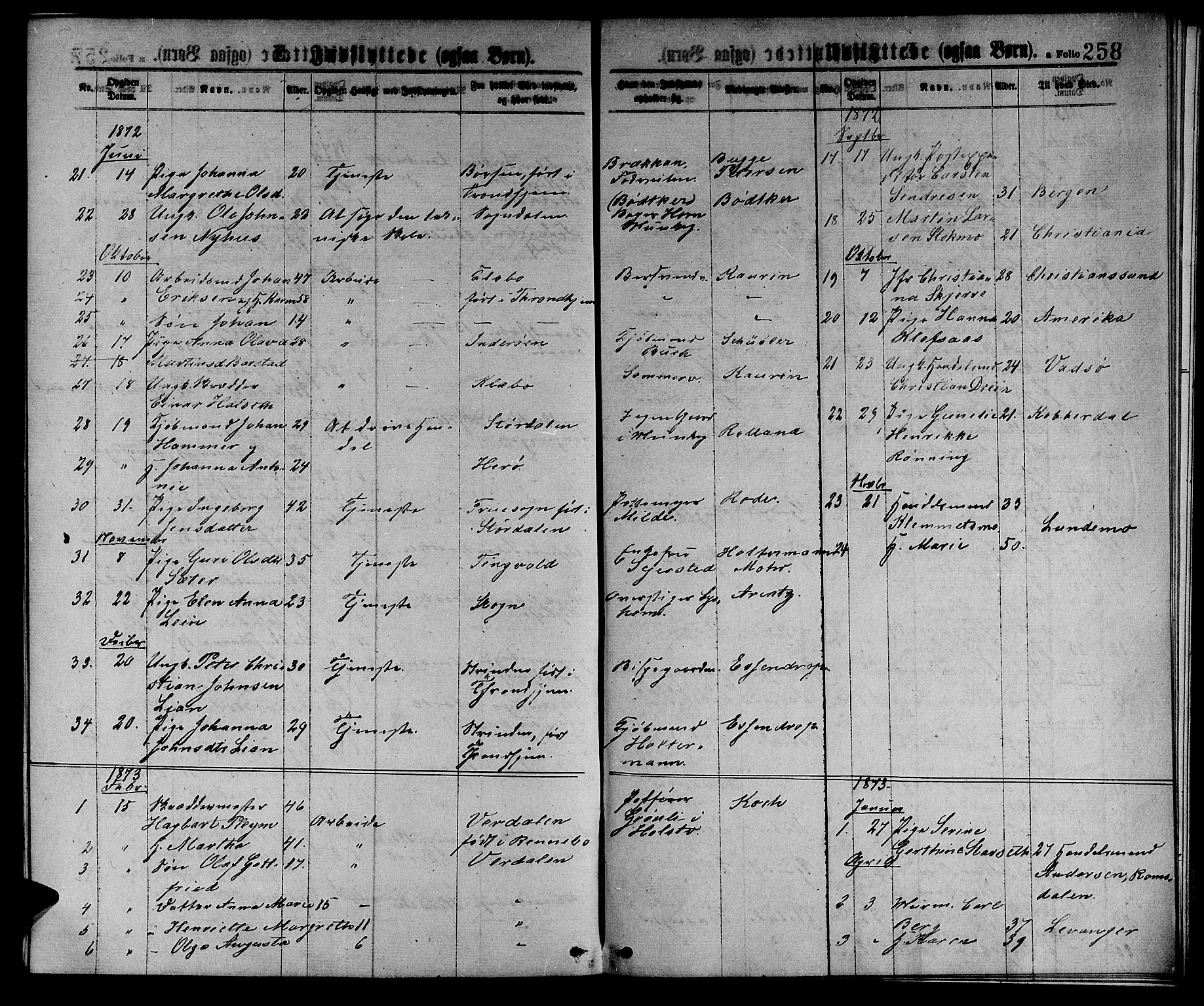 Ministerialprotokoller, klokkerbøker og fødselsregistre - Sør-Trøndelag, AV/SAT-A-1456/601/L0088: Parish register (copy) no. 601C06, 1870-1878, p. 258