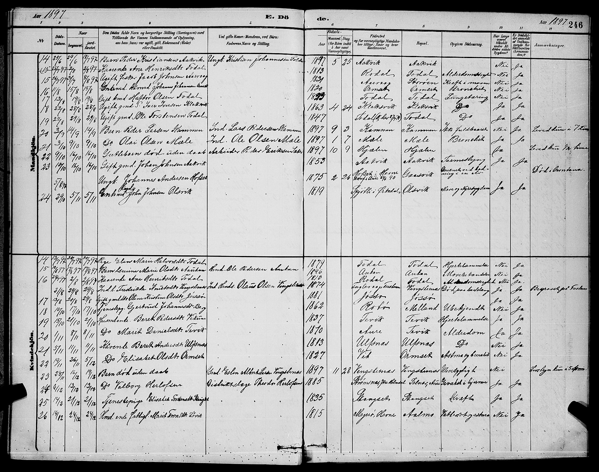 Ministerialprotokoller, klokkerbøker og fødselsregistre - Møre og Romsdal, AV/SAT-A-1454/578/L0909: Parish register (copy) no. 578C02, 1882-1900, p. 246